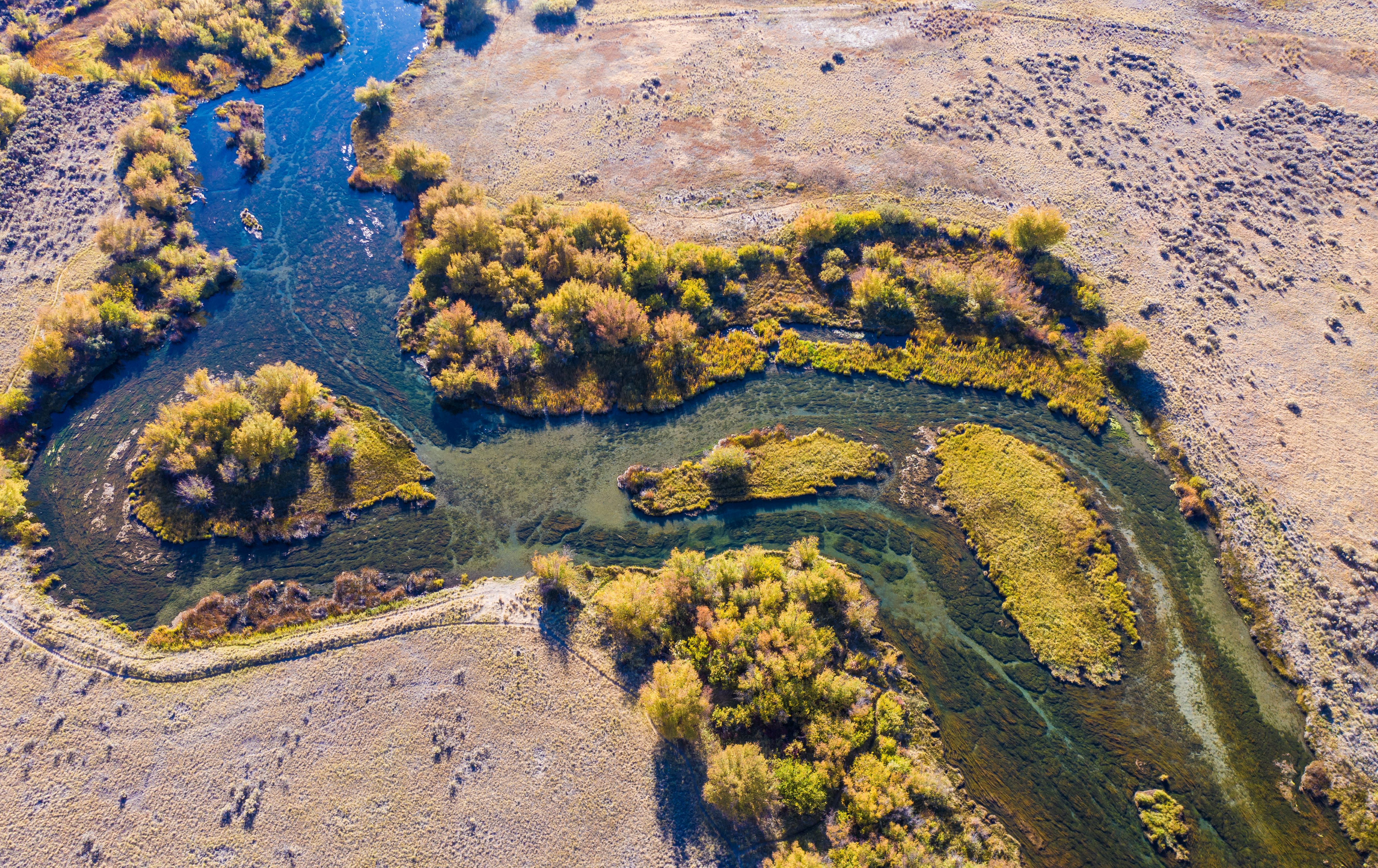 Aerial view of Silver Creek Preserve with an island in the creek.