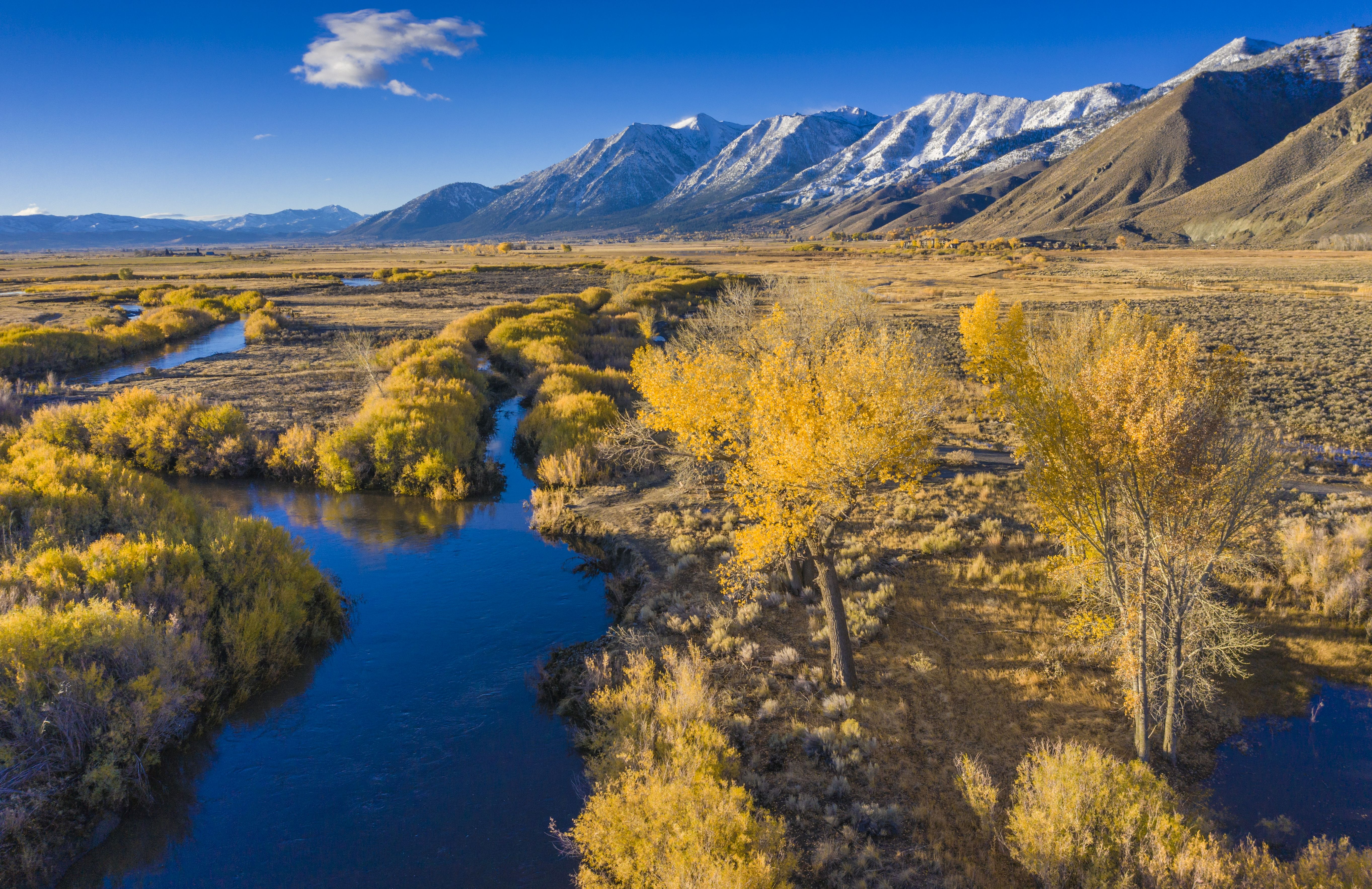 River meanders with trees with yellow foilage and mountains in the background.