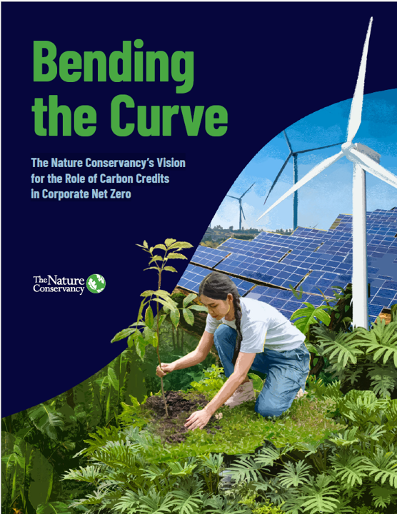 Cover for the Bending the Curve report shows an illustration of a woman planting a tree with a background of solar and wind energy sources..