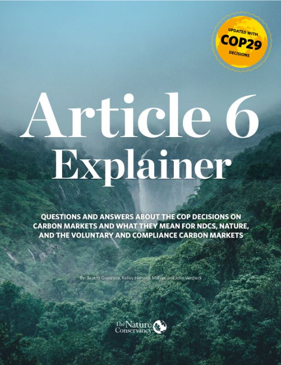 Article 6 Explainer cover.