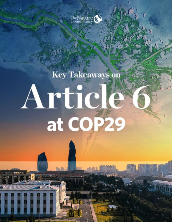 Cover for the Article 6 at COP29 paper.