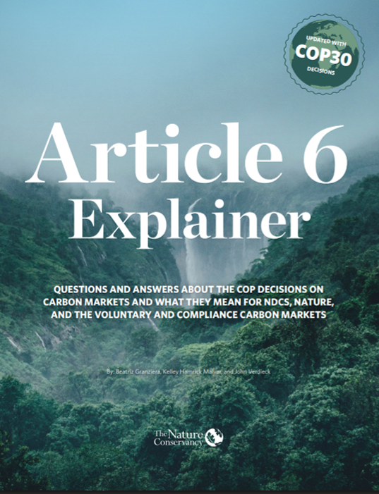 Article 6 Explainer cover.