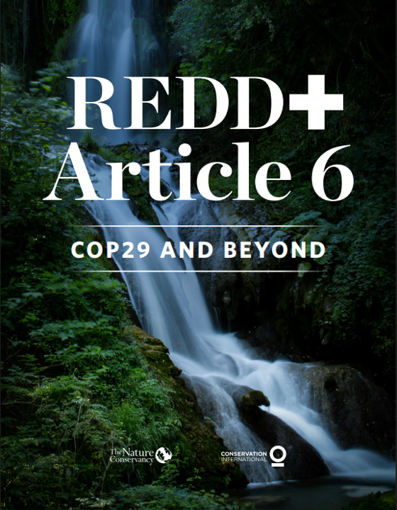 REDD+ Article 6 cover.