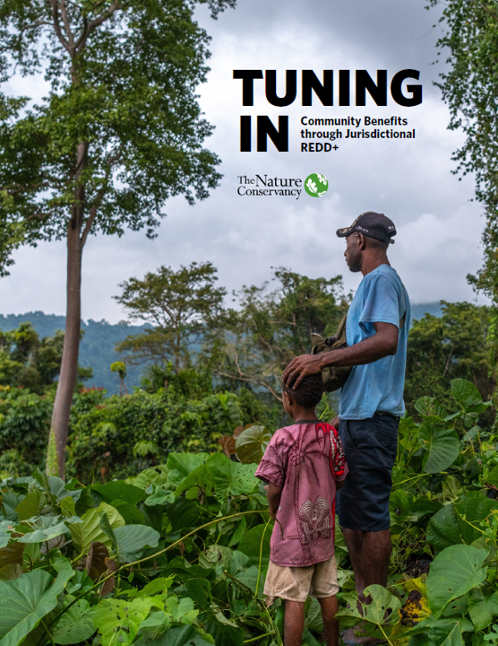 Cover for the Tuning in Report.