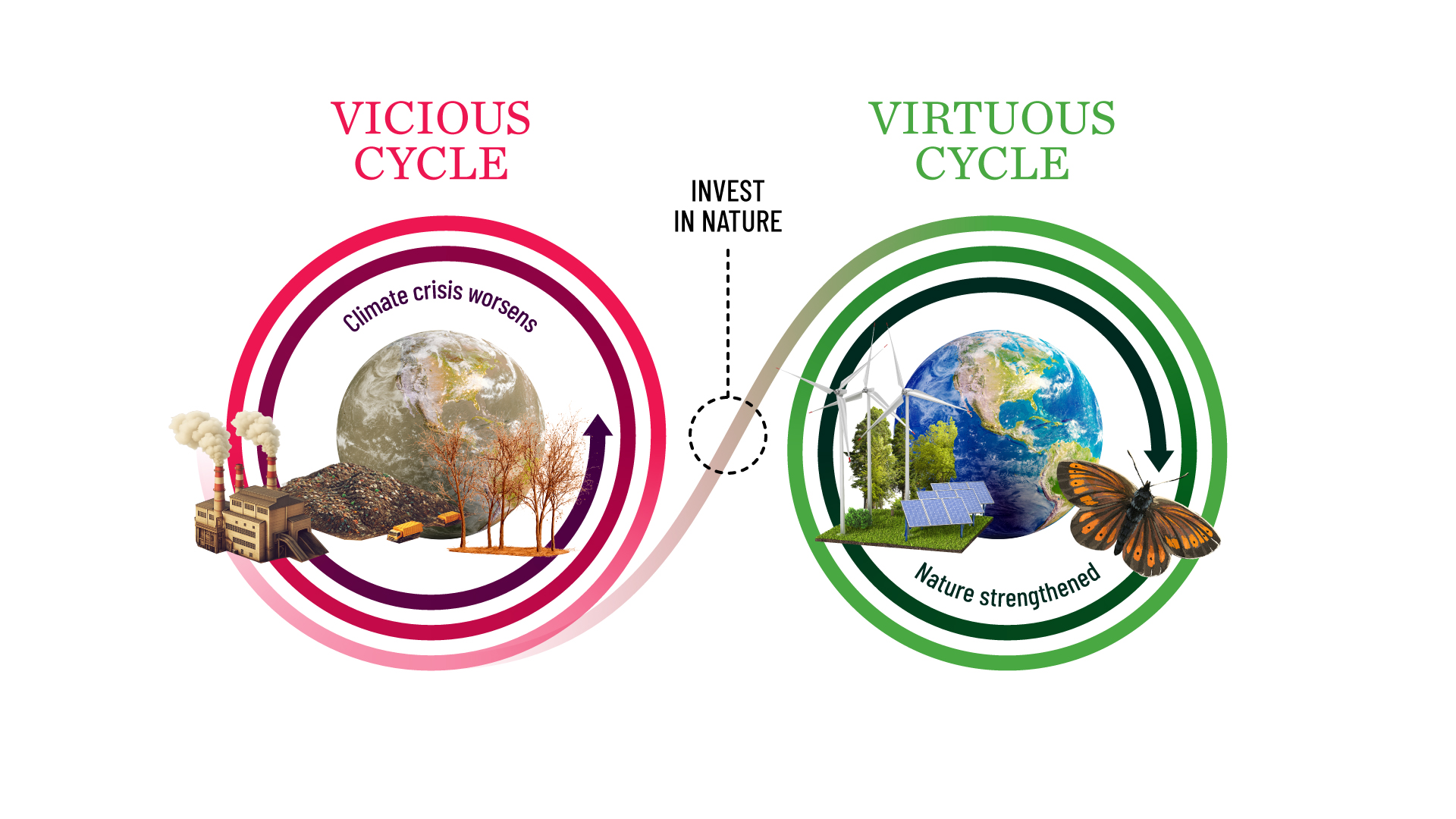 Two cycles: 'Vicious' with pollution and climate crisis, 'Virtuous' with nature and renewal. Arrows and circles show contrast. 'Invest in Nature' bridges the shift from harm to healing.
