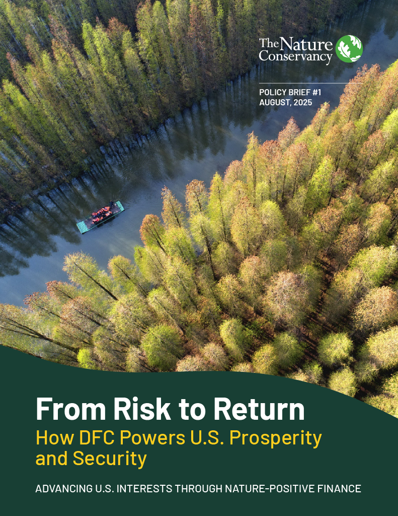Cover page of "From Risk to Return" policy brief.