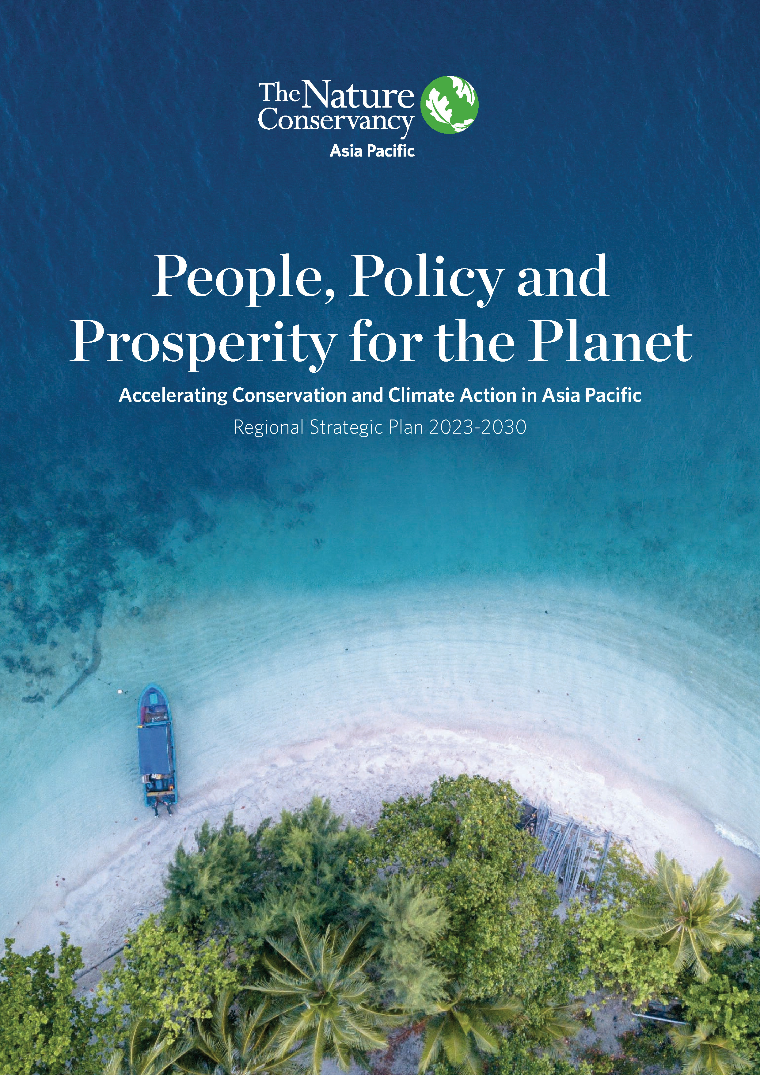 2030 Strategic Goals PDF