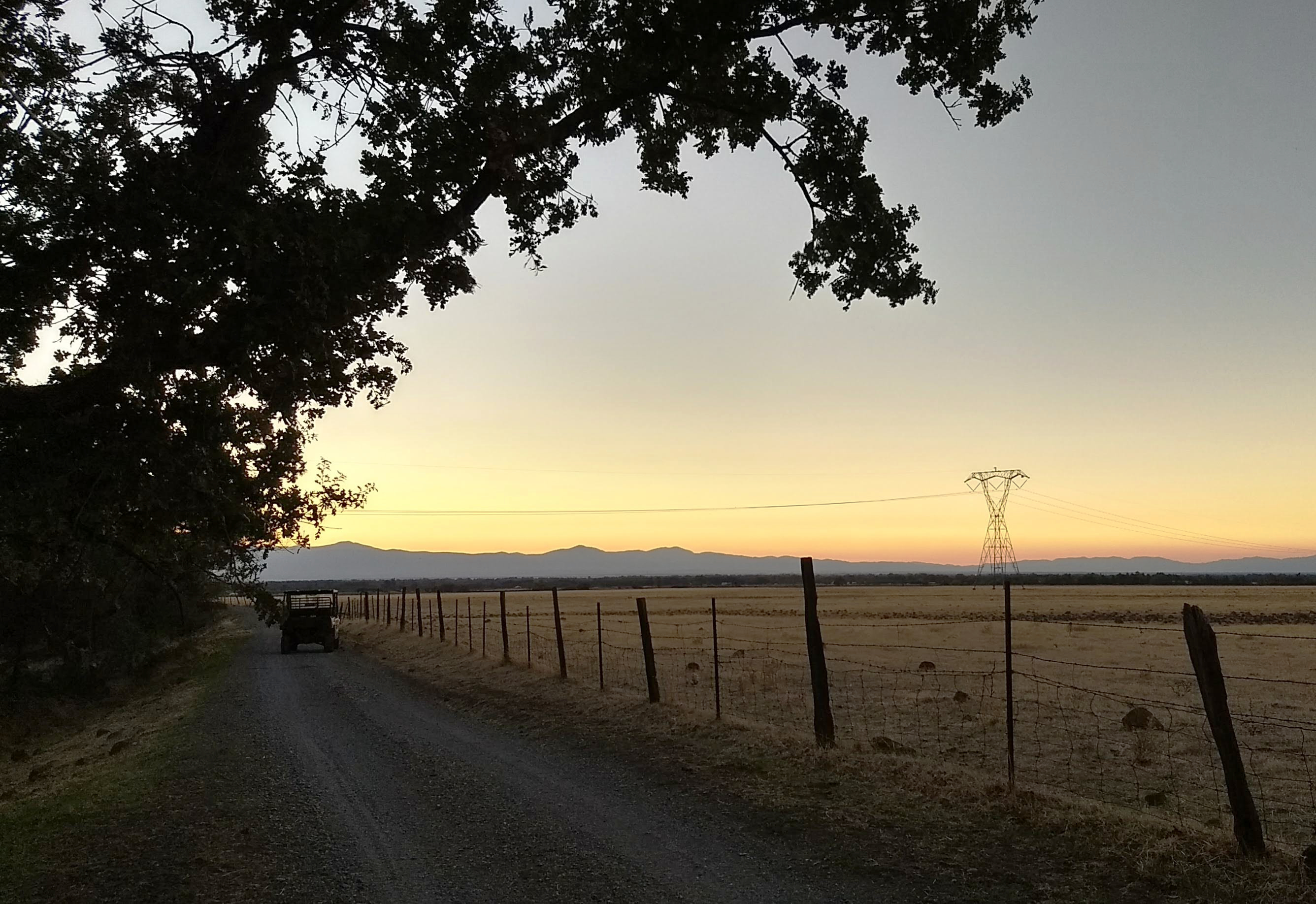 Sunset view of a ranch fence and overhanging tree.