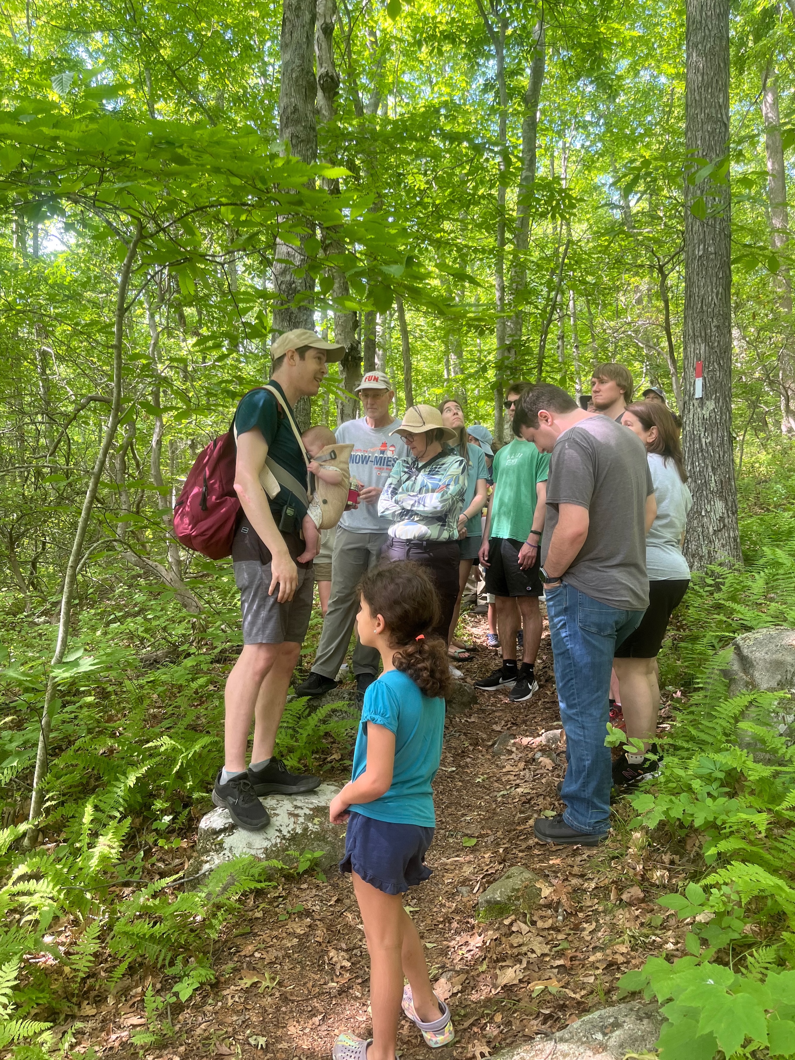 A group of hikers stands on a forest trail surrounded by green trees and foliage. One person in the group appears to be speaking to the others, who are listening attentively. The trail is narrow and marked with a red and white blaze on a tree.