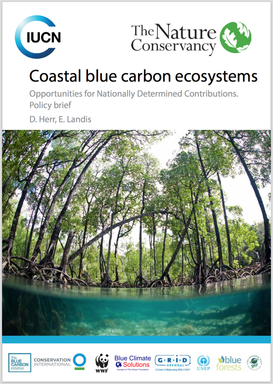 Coastal and island countries have an opportunity to take their blue carbon ecosystems into account when considering their national level climate actions.