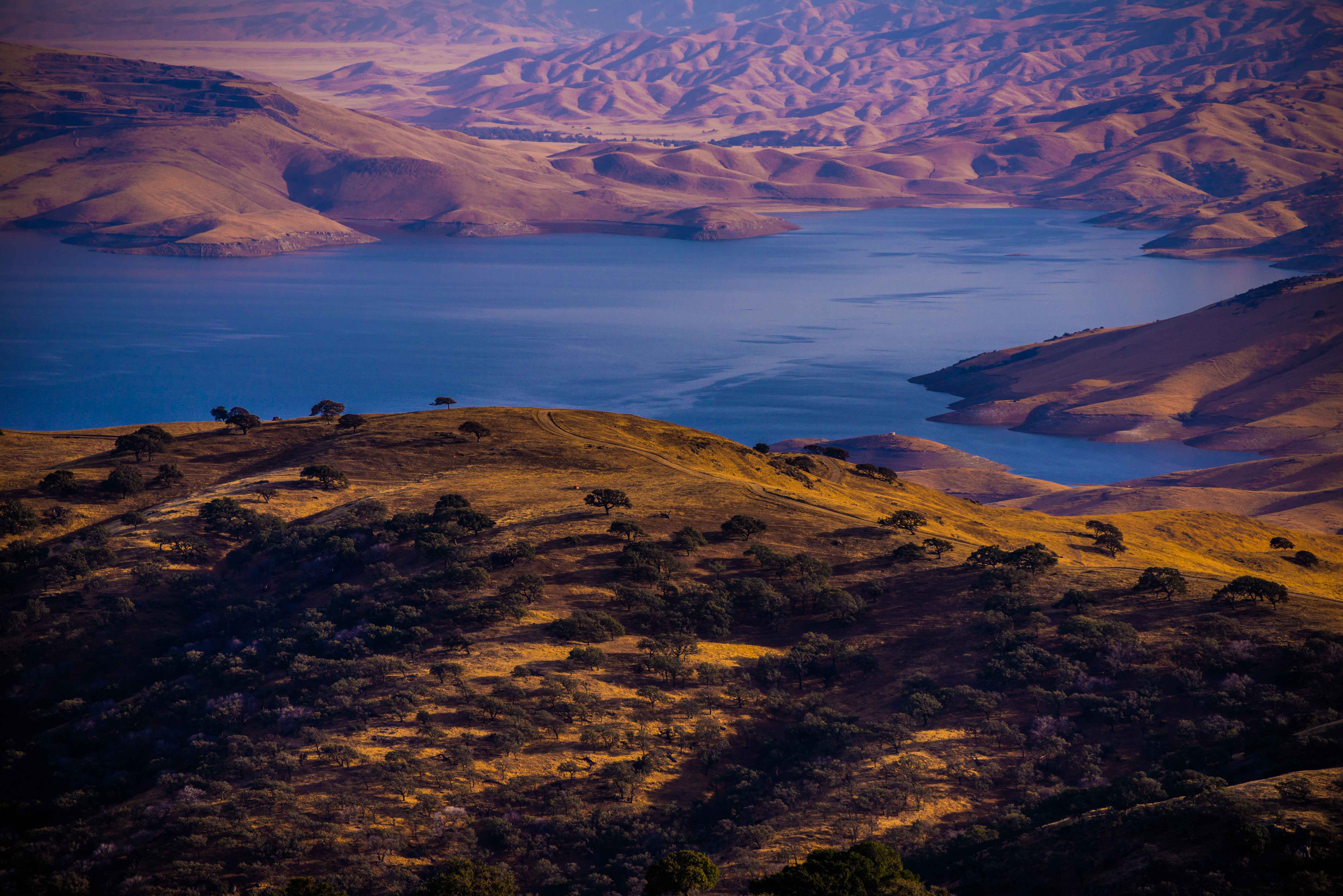 Aerial view of a reservoir amidst rolling hills. 