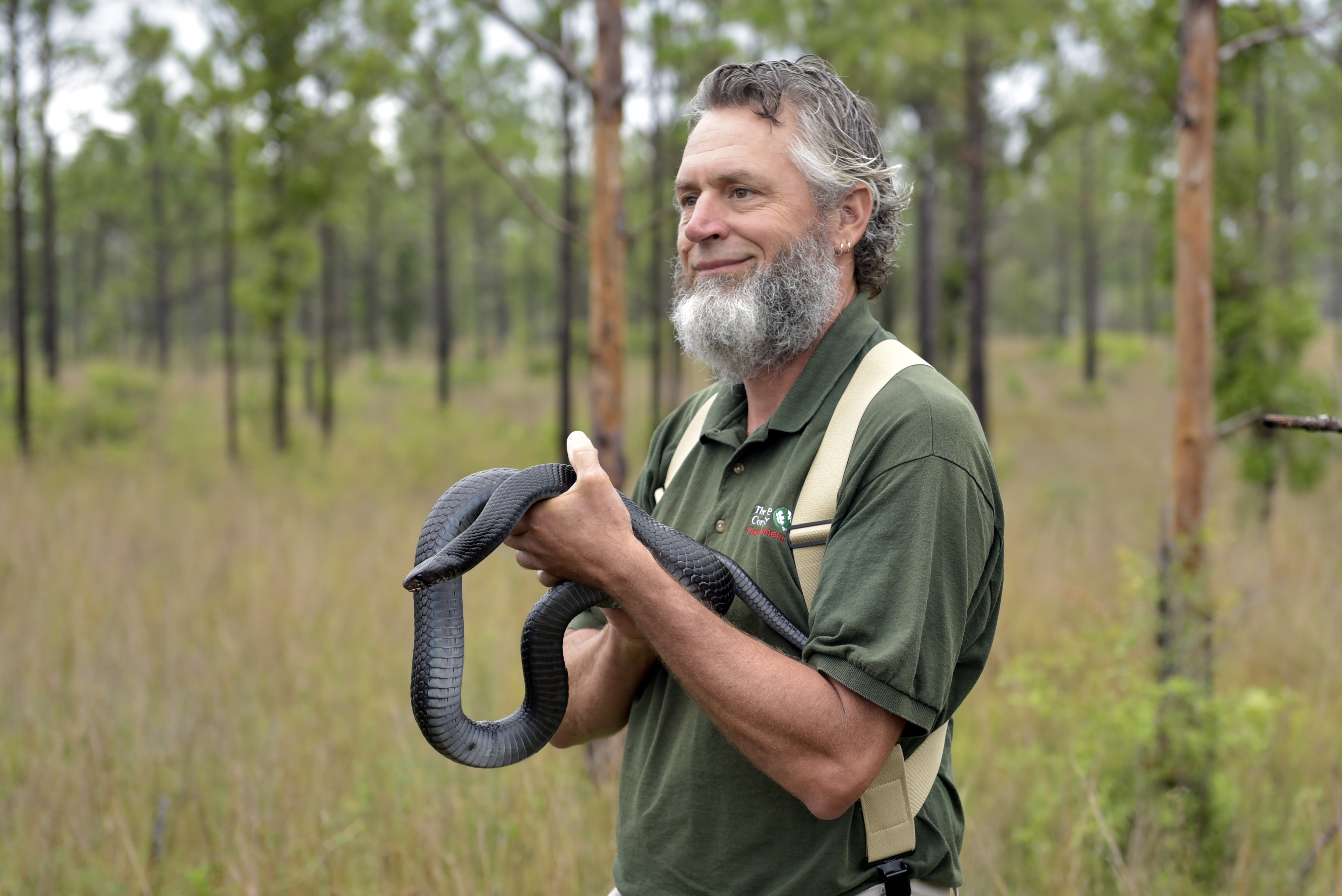 David Printiss holds an Eastern indigo snake.