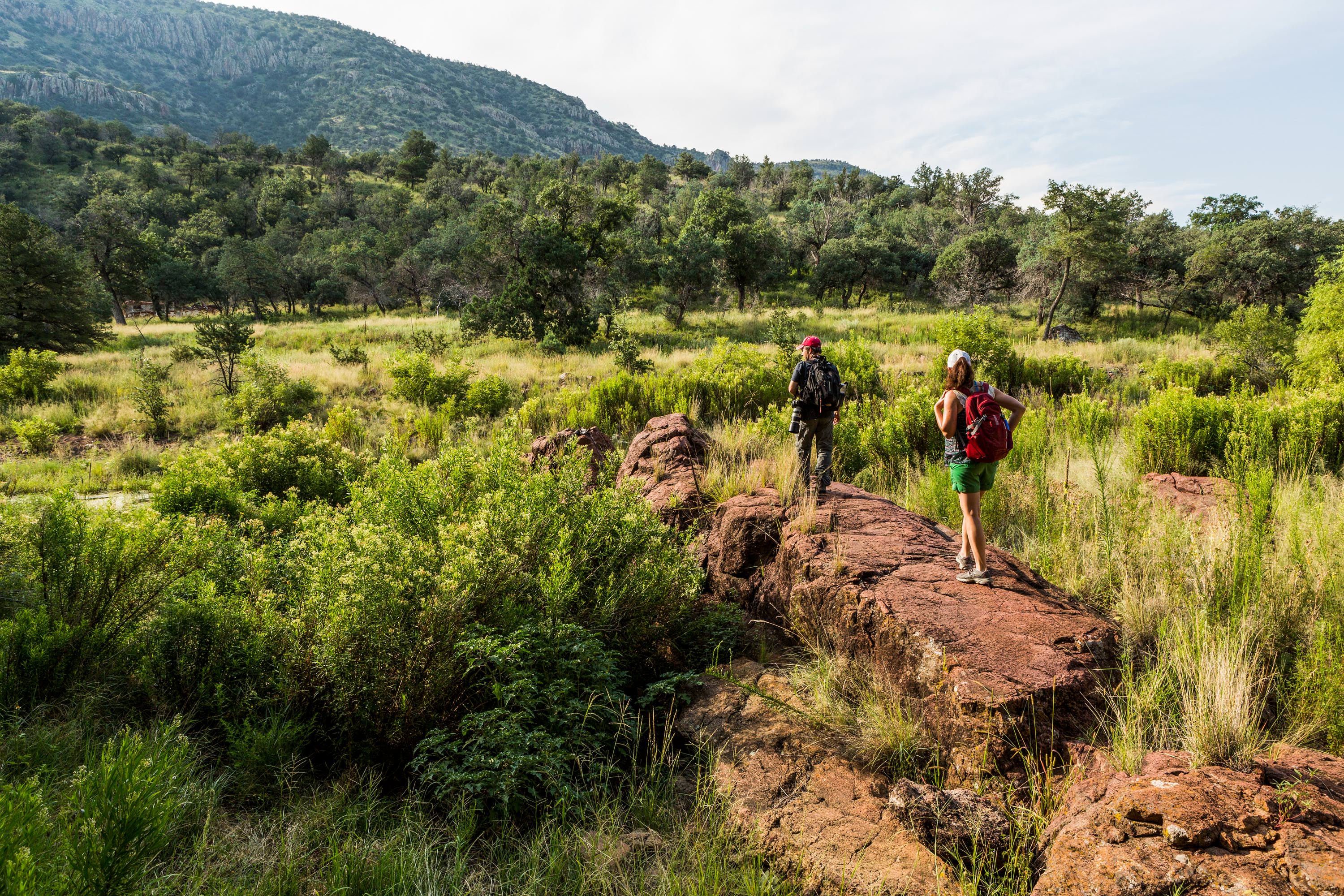 Two hikers walk on a rock outcropping.