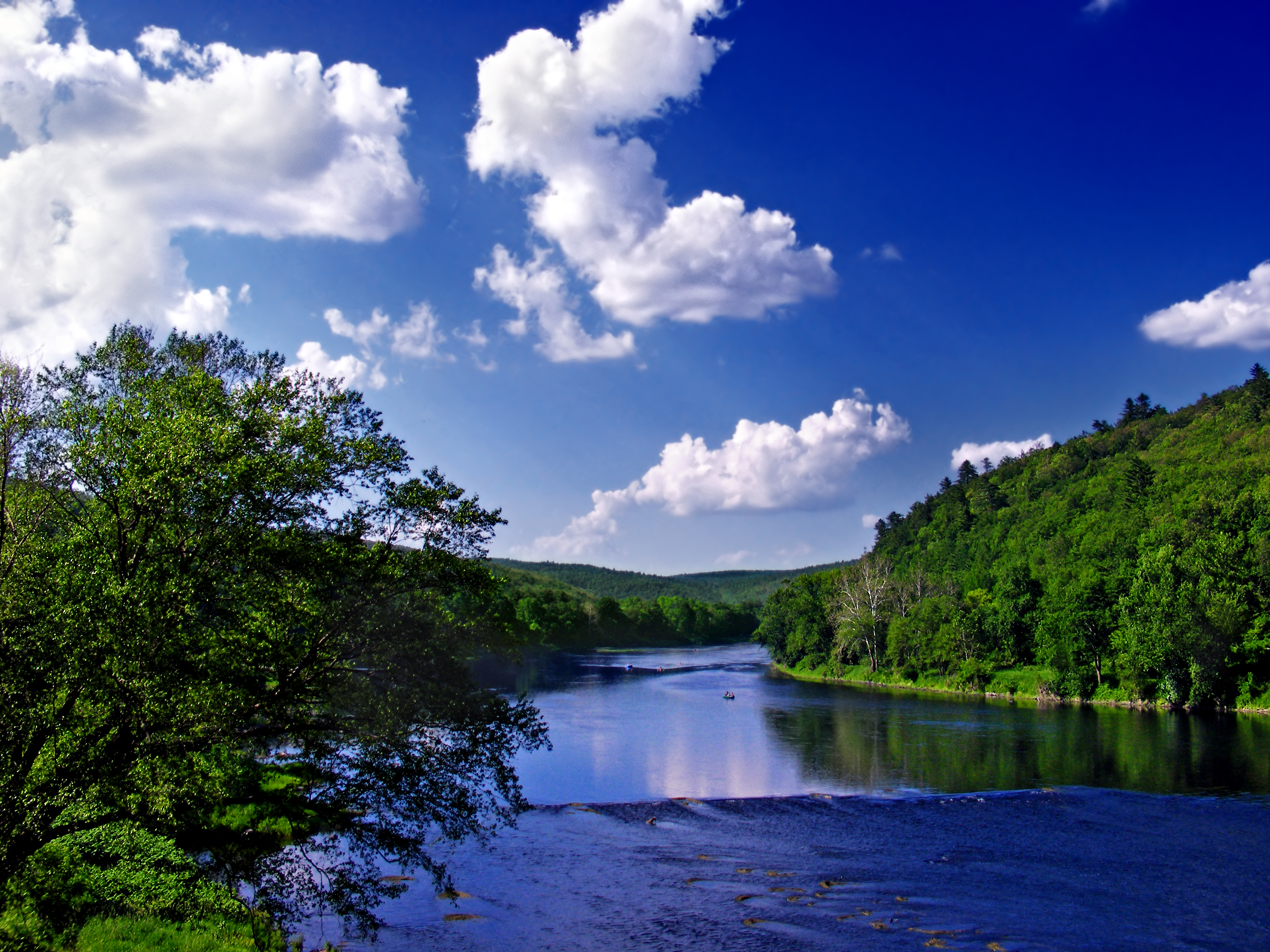 A large river flows through a forest reflecting a bright blue sky with large white clouds.
