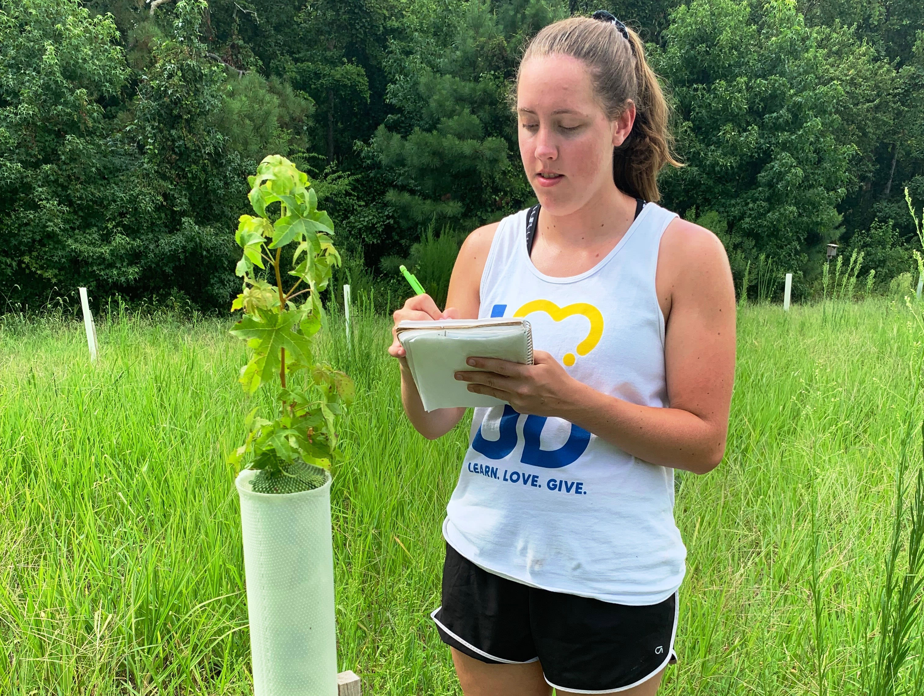 A volunteer records data in a reforestation plot. 