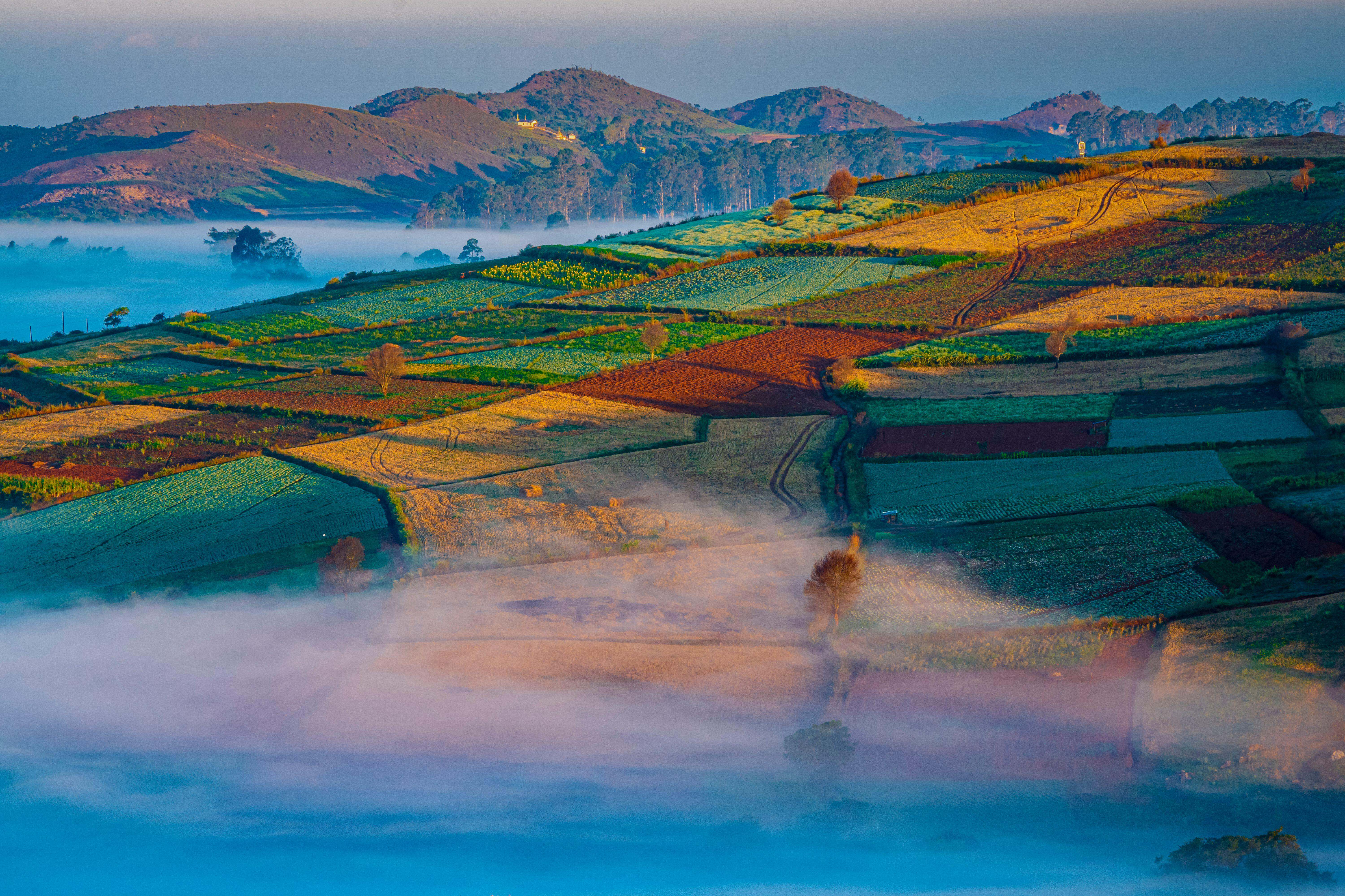 an aerial view of a colorful, diverse mix of crops 