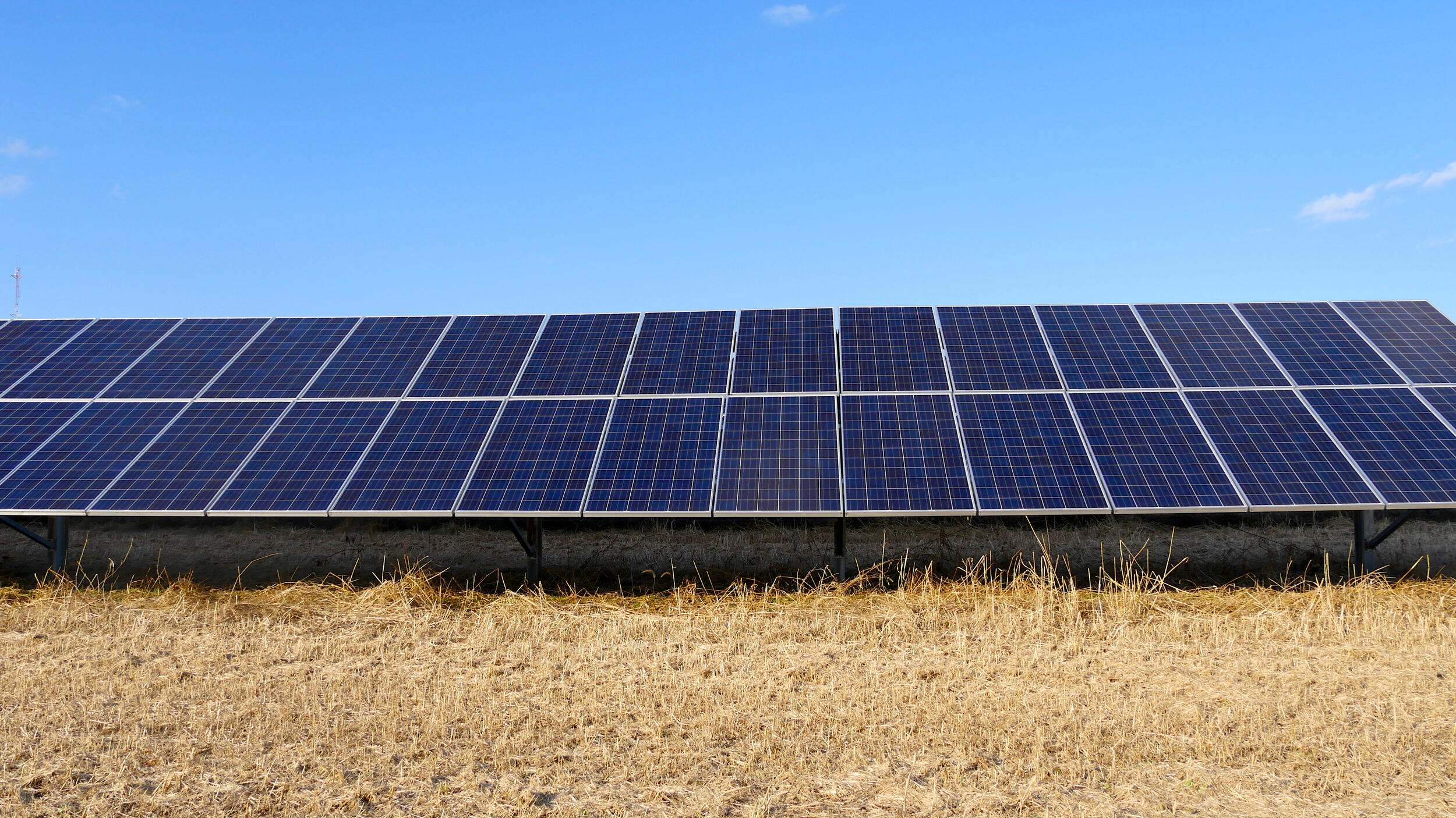 An image of solar panels in a field