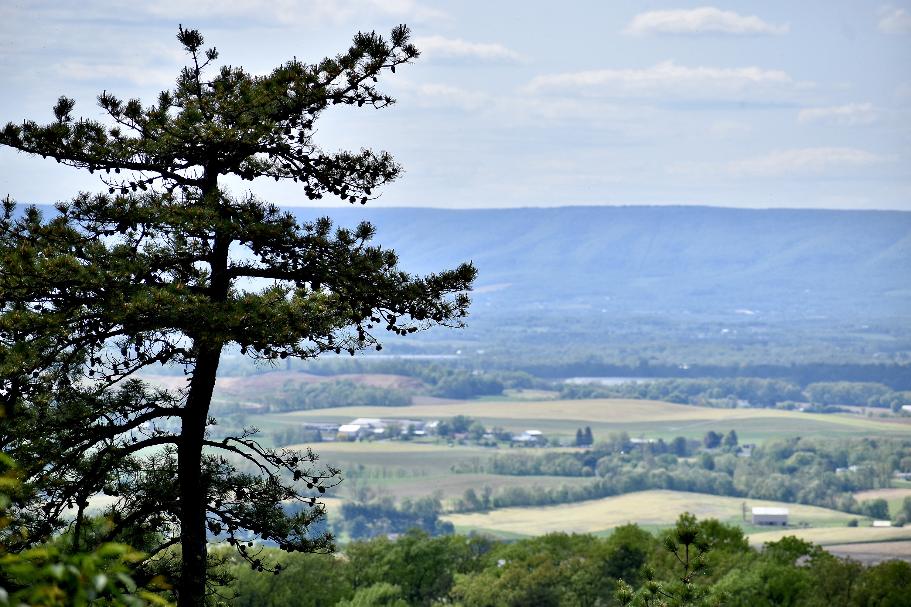 View looking out over a rural valley dotted with farms.