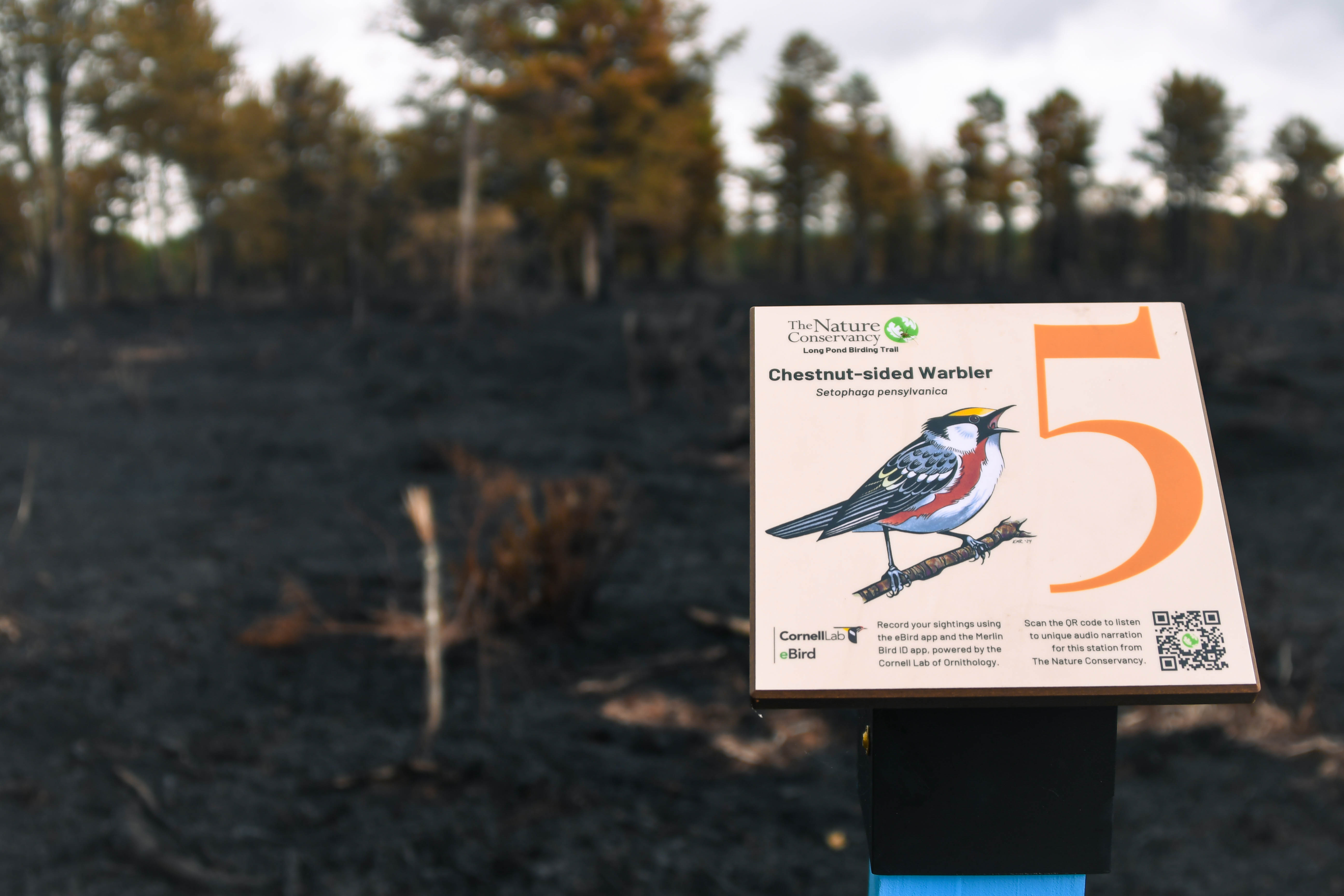 A sign with an illustrated bird and a GR code sits in front of a forest. 