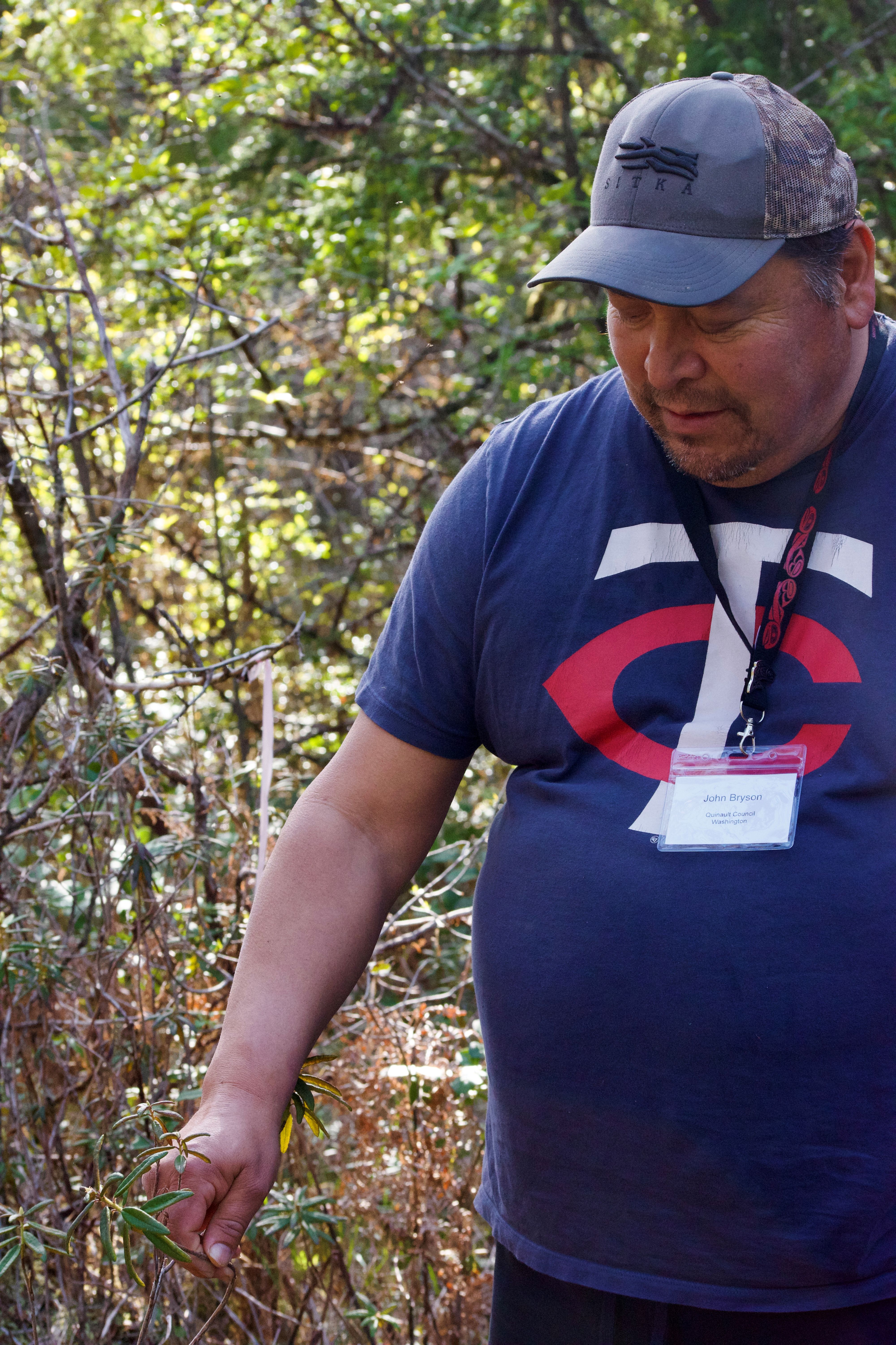 Quinault Tribal Councilman John Bryson touching Labrador Tea plant in a prairie.