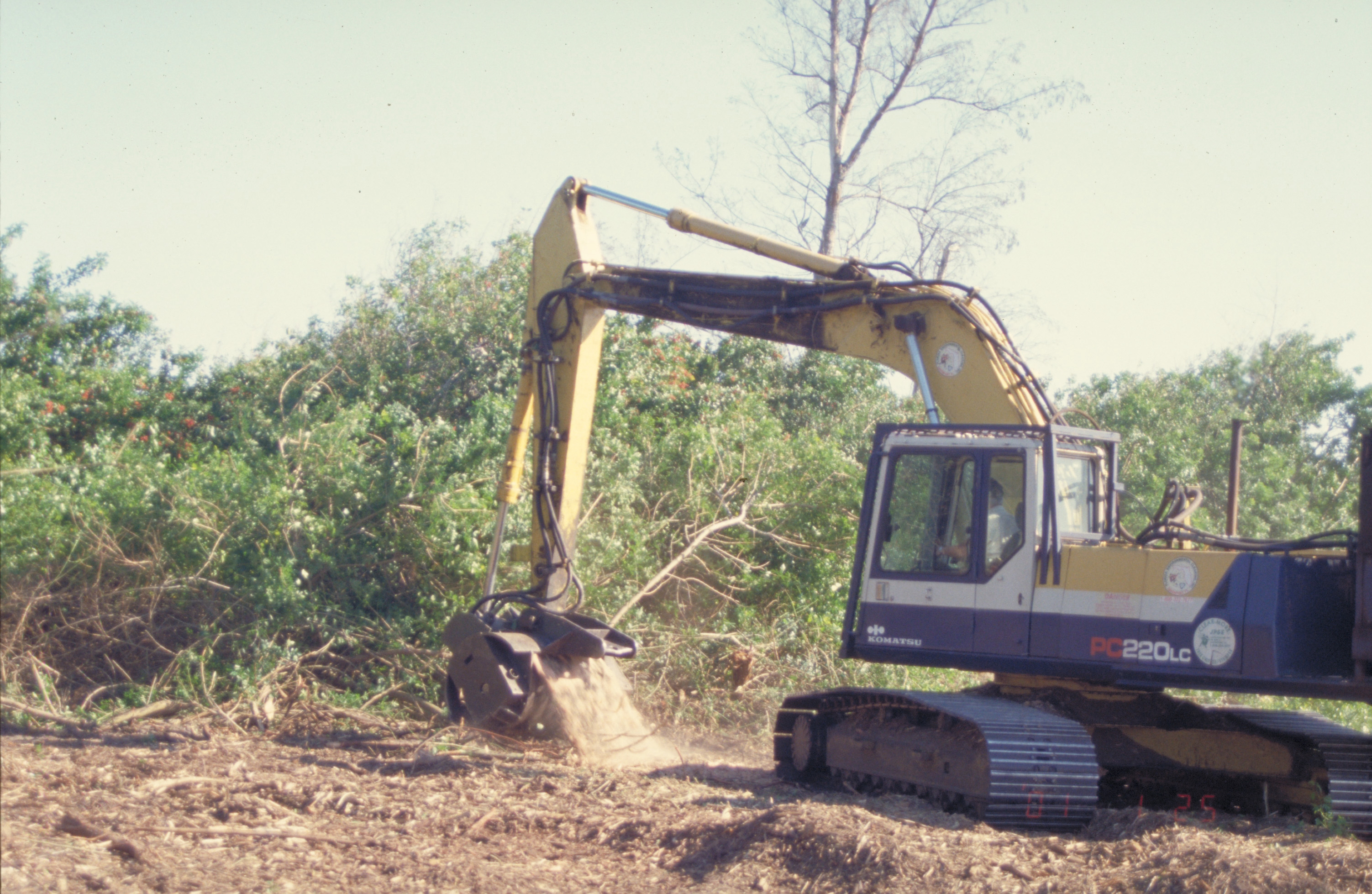 A backhoe removes invasive species from the soil.