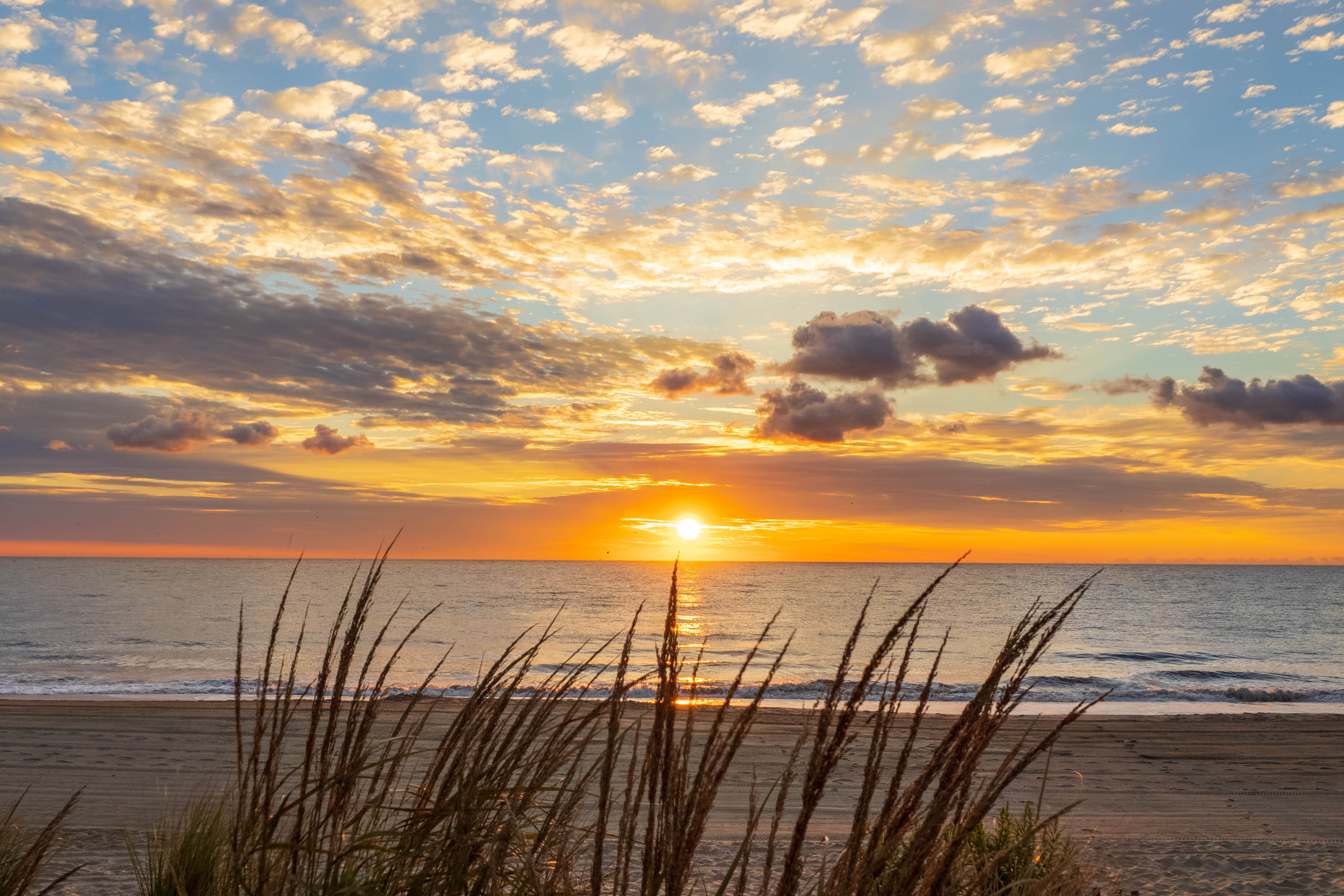 A view of a beach in Delaware during sunrise. 