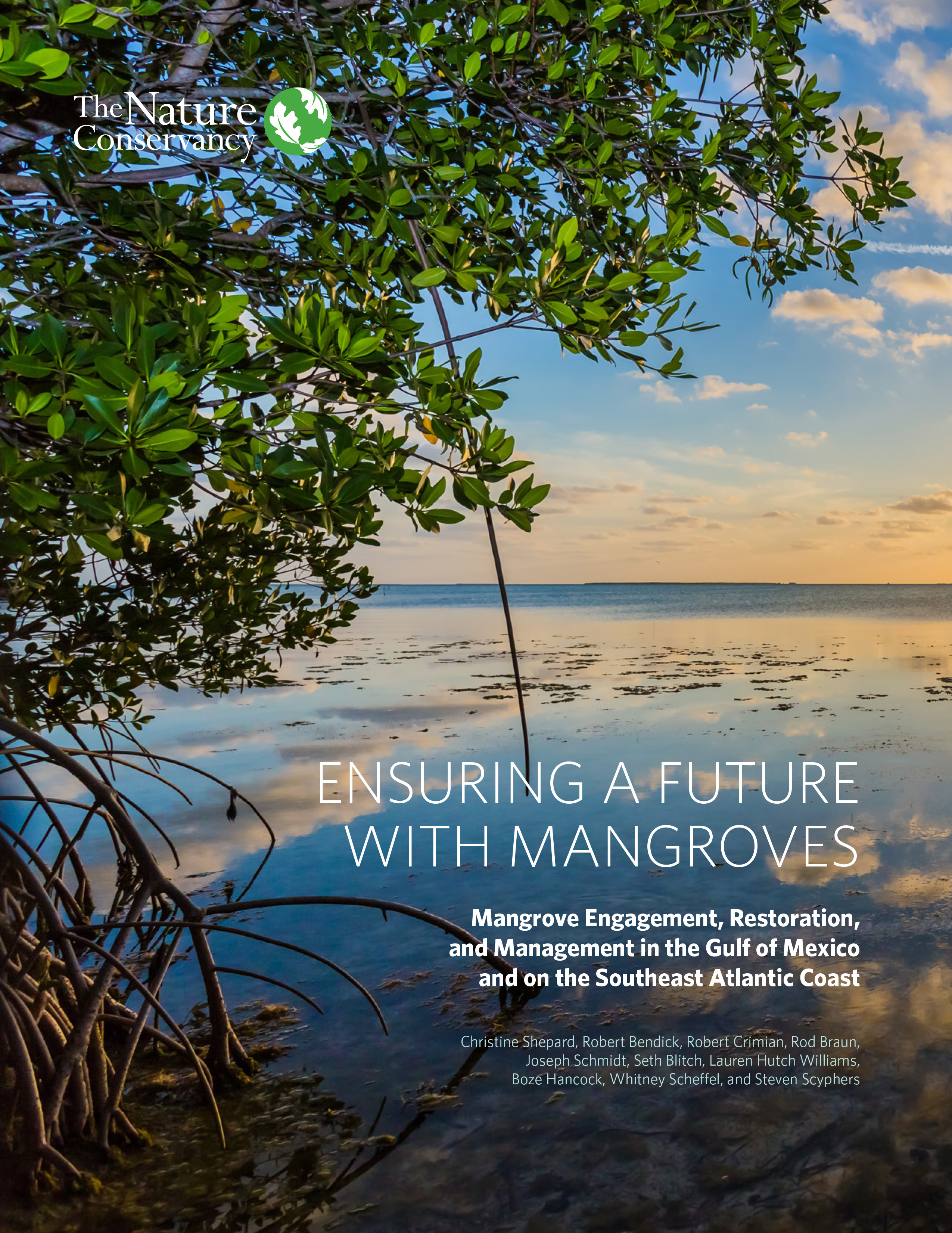 The cover of Ensuring a Future with Mangroves handbook.