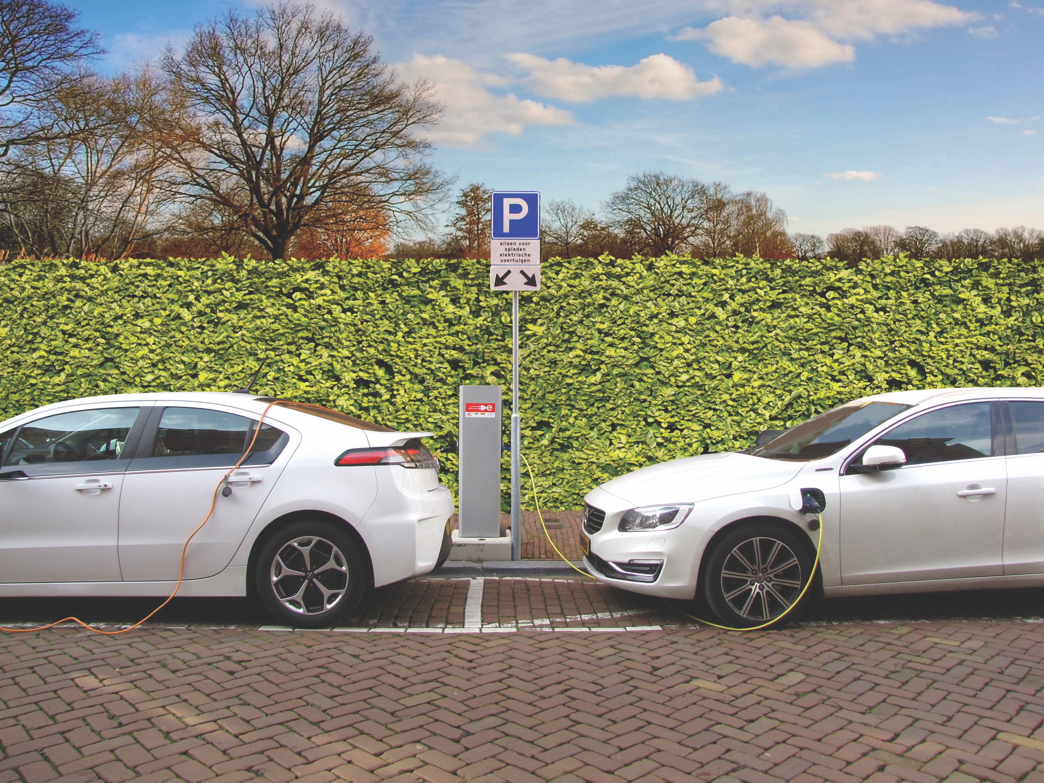 Two white electrics cars parked at a charging station with bushes behind them.
