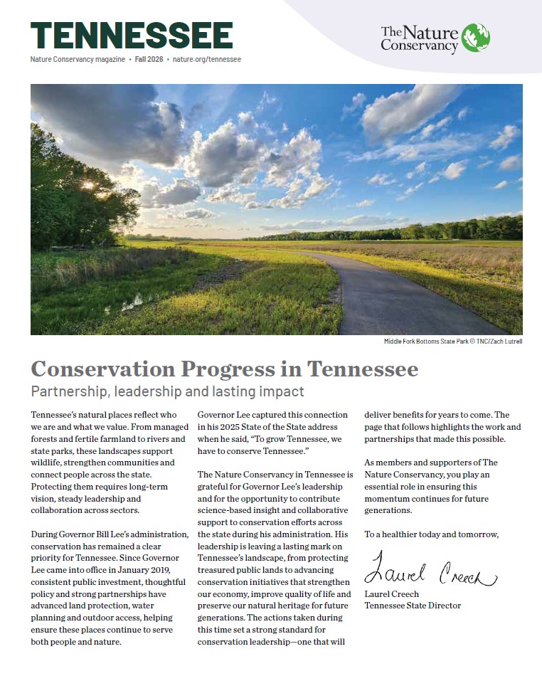 A screenshot of a magazine insert.