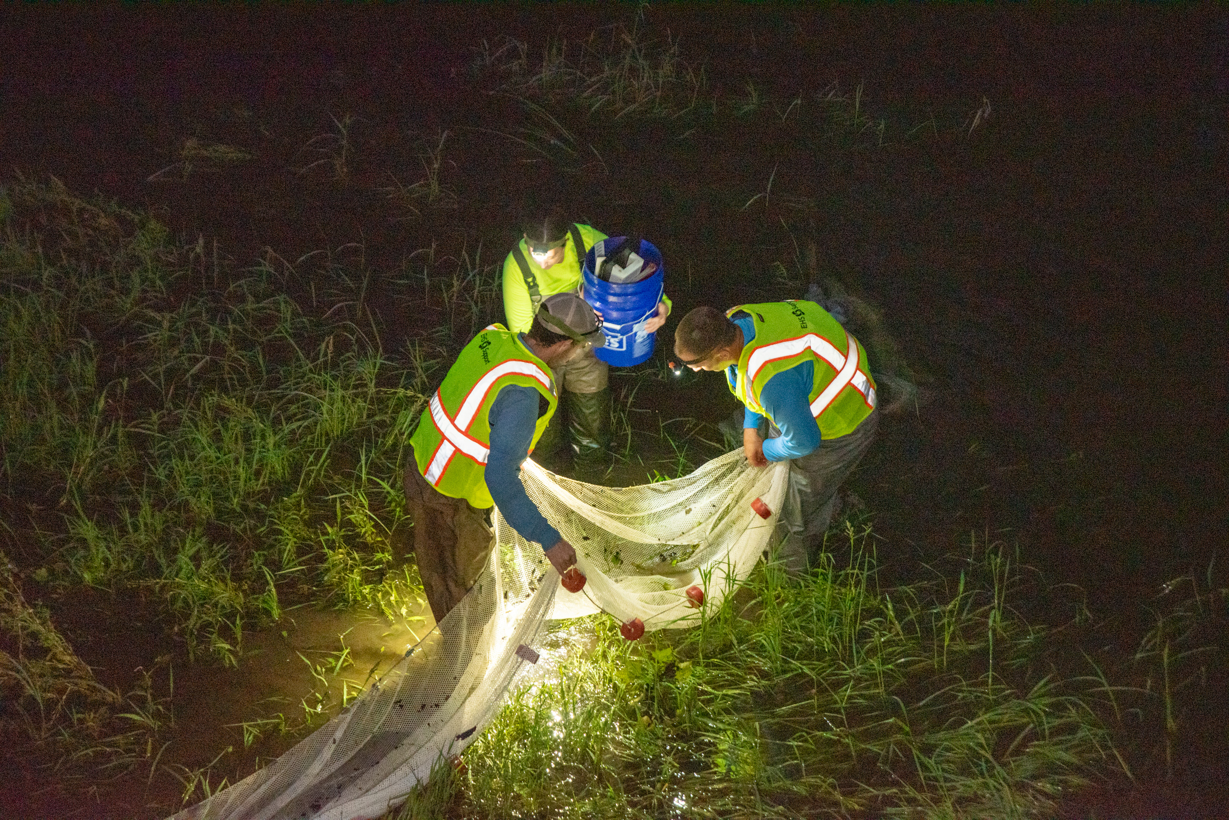 Fish sampling in a river.