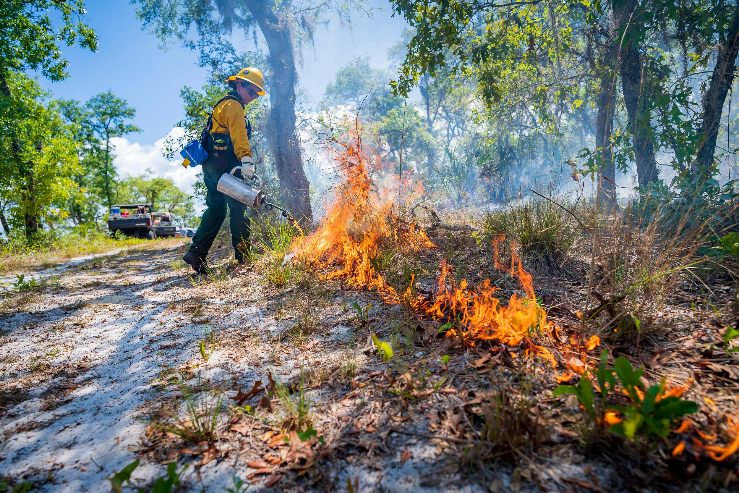 Firefighter uses drip torch. 