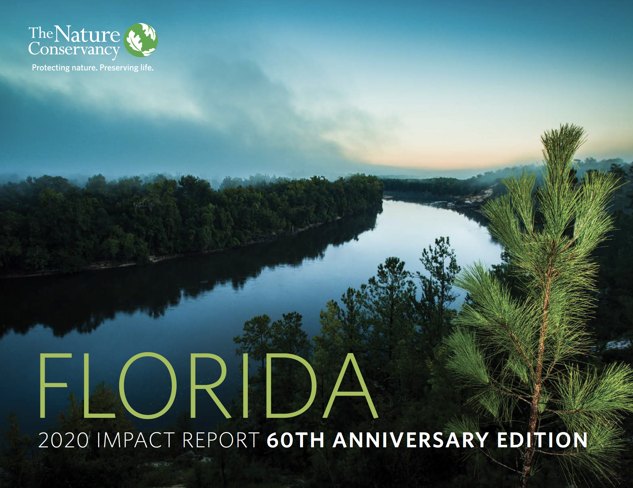 Florida Impact Report