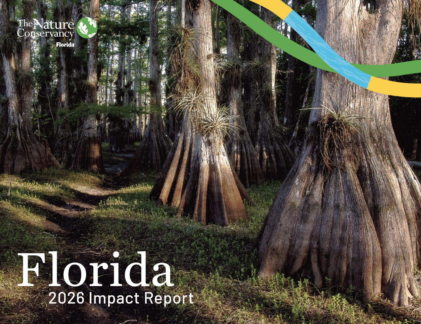 Cover of the Florida 2026 Impact Report.