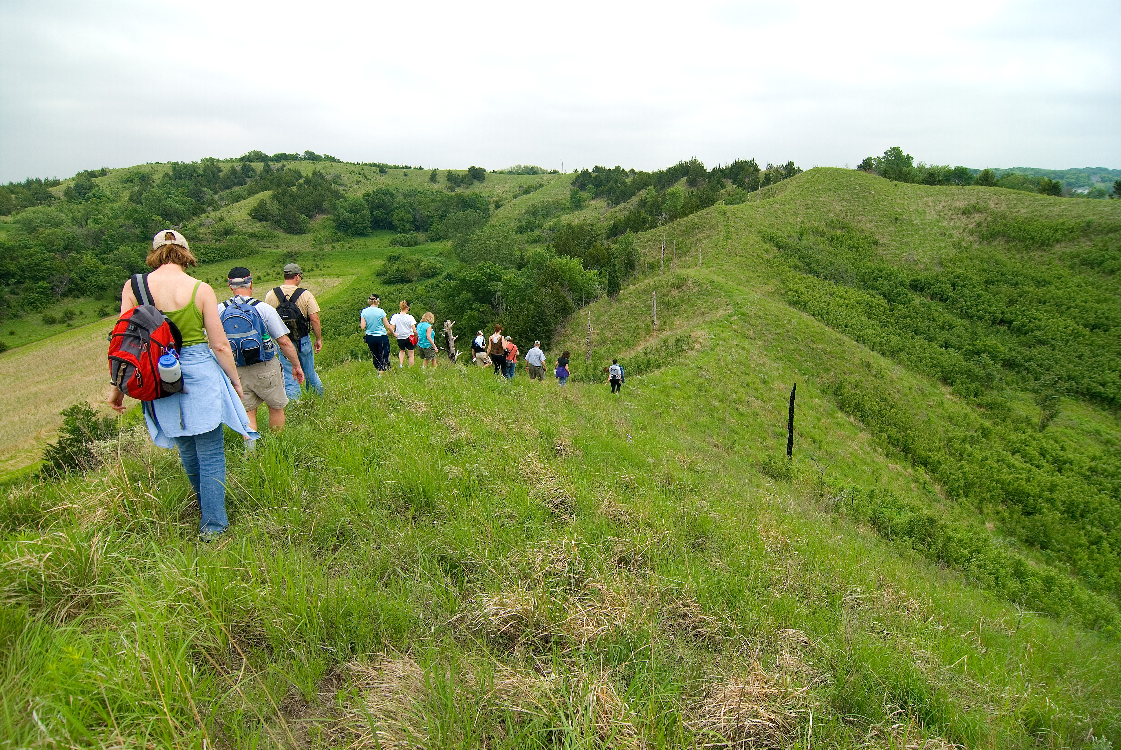 A group of hikers wearing hats and backpacks walk across a grassy ridge.