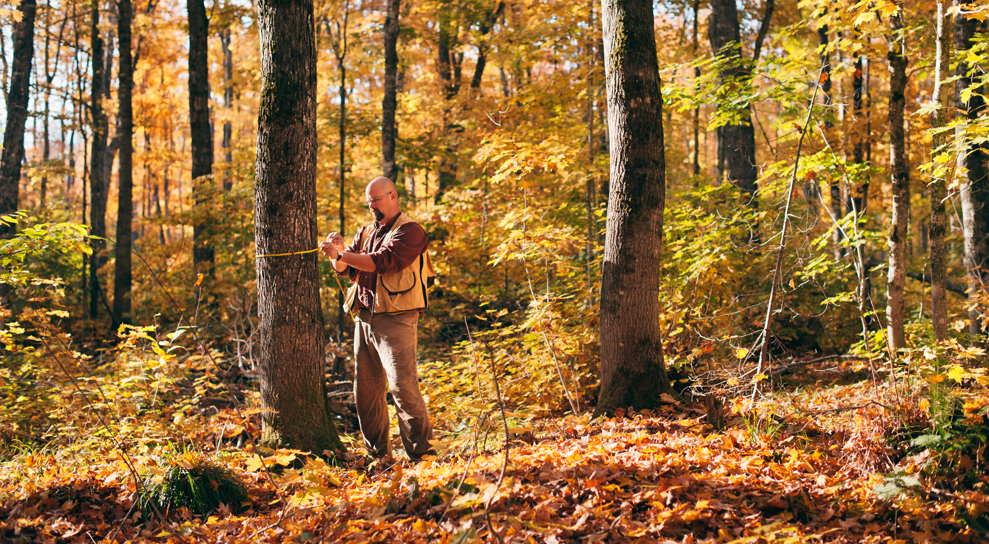 Man in field clothing stands in forest in the fall. 