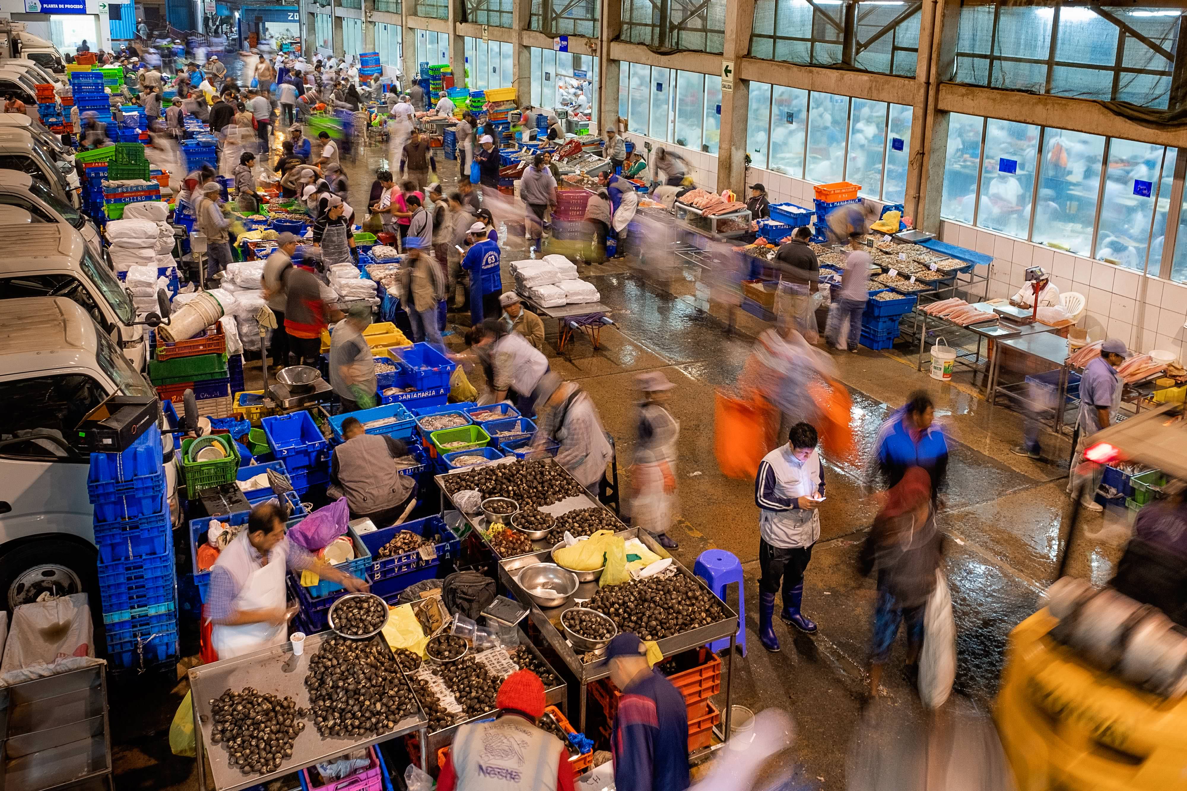 This is an example of a larger fish market in Lima, Peru.