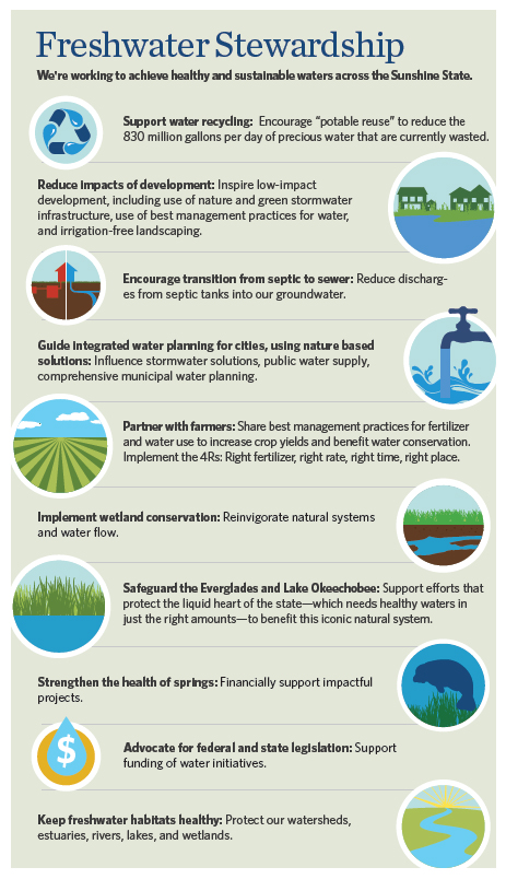 Florida Freshwater Stewardship Infographic