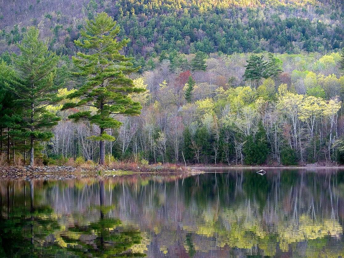 A pond with green and yellow trees surrounding it.