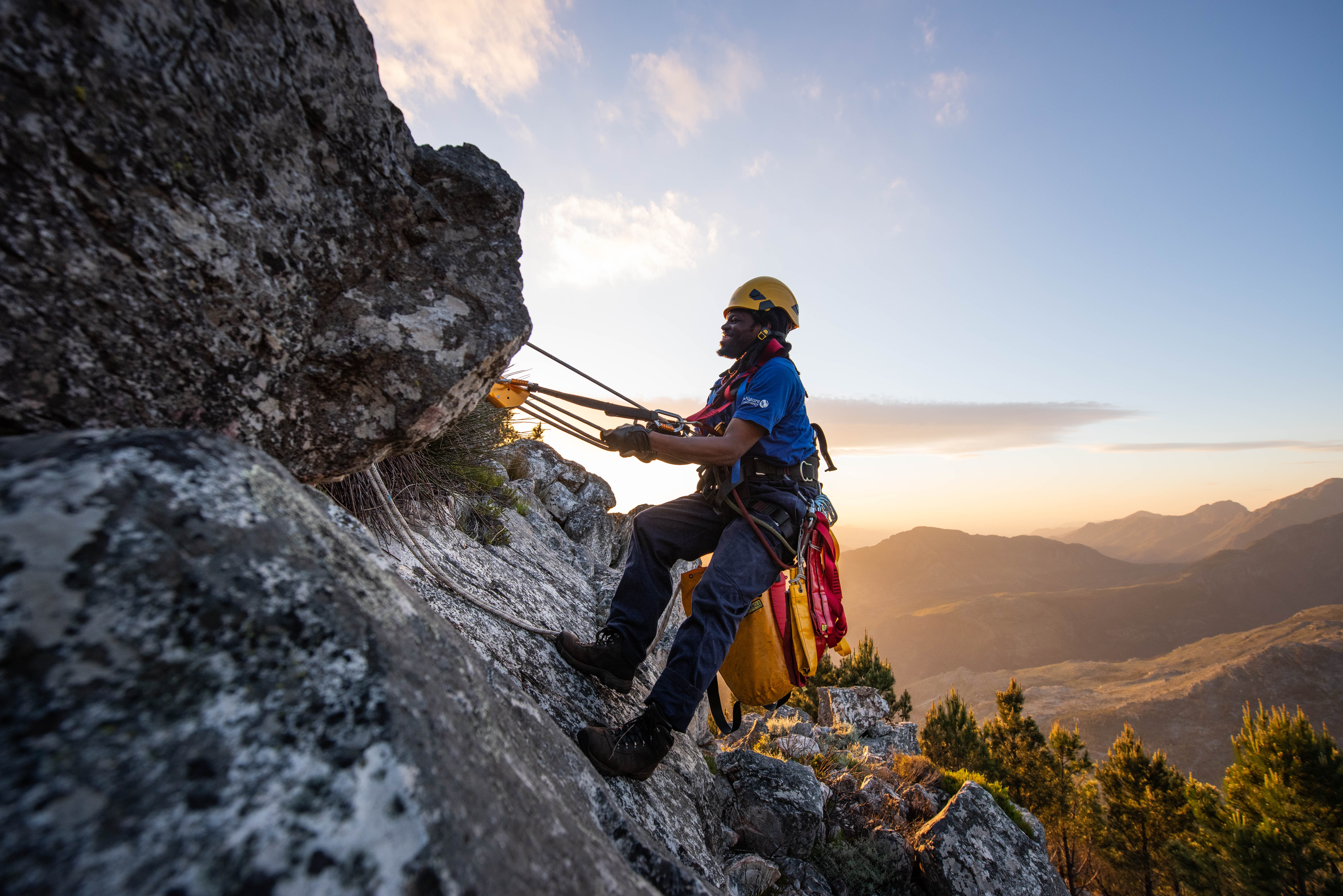 A rope technician clearing invasive trees from the side of a cliff in Cape Town, South Africa.