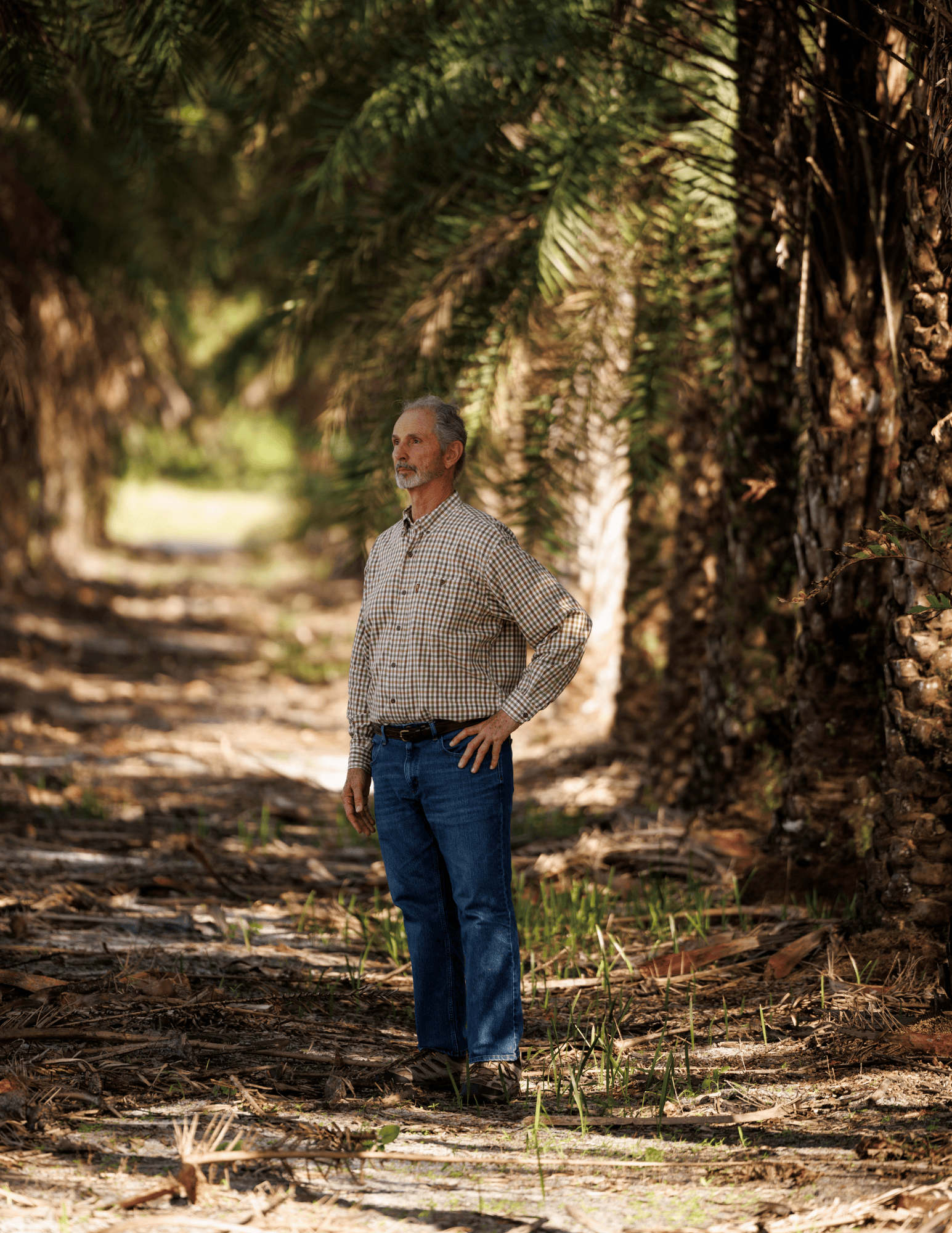 A man in a collared shirt stands in the shade of a palm tree grove.