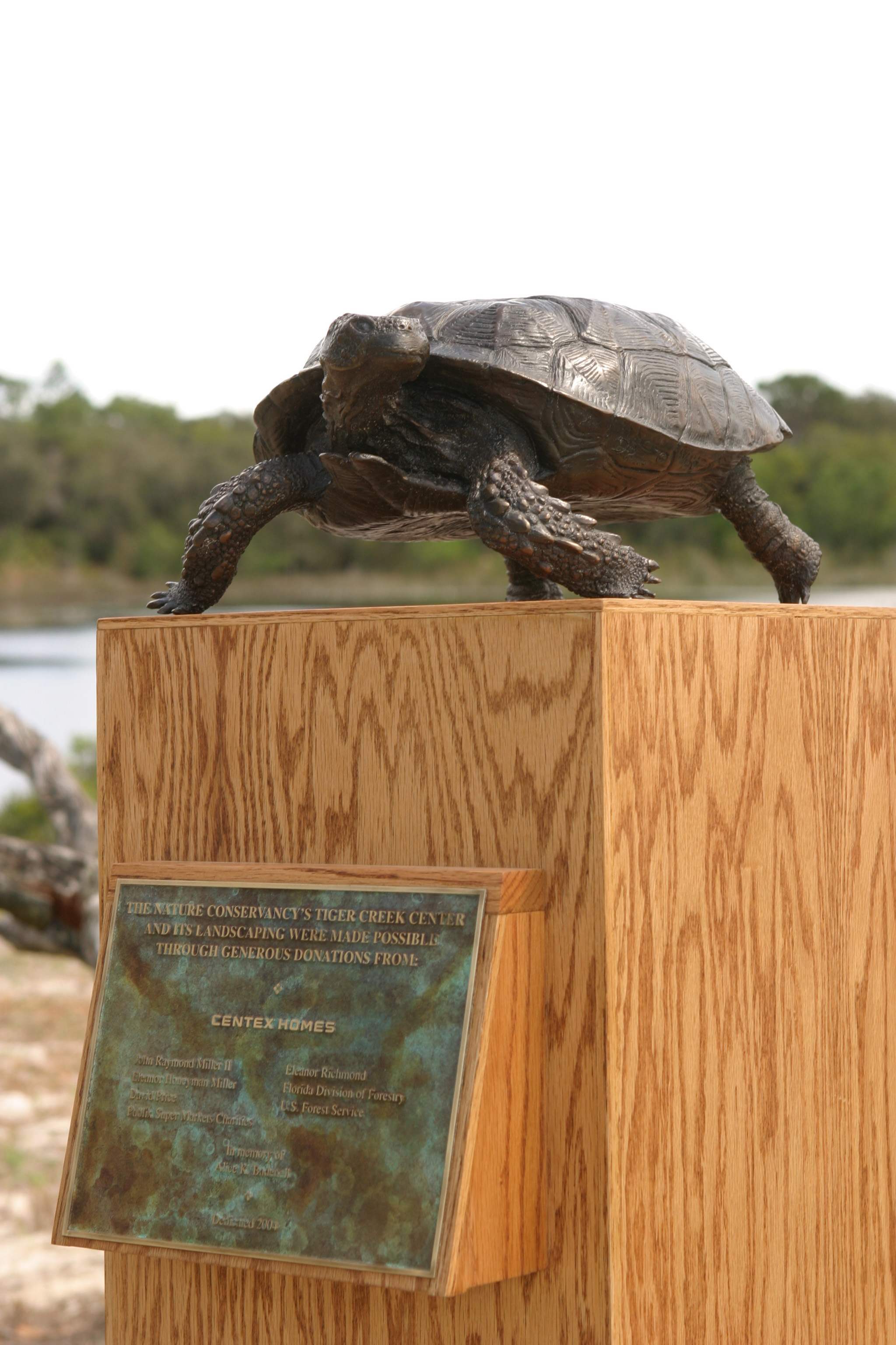 A bronze gopher tortoise statue, Tiger Creek Peserve.