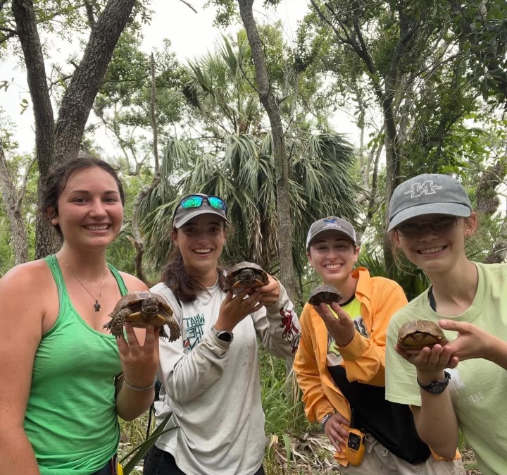 Four people holding turtles pose for a picture.
