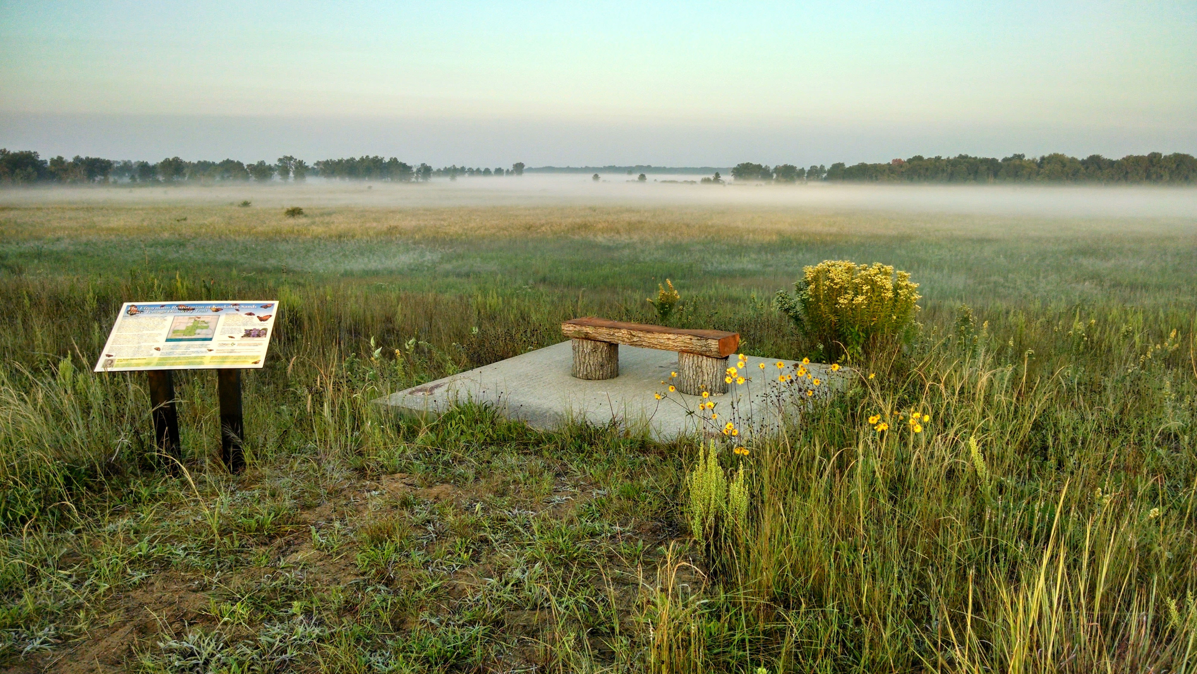 Bench & interpretive sign at preserve prairie sunrise.