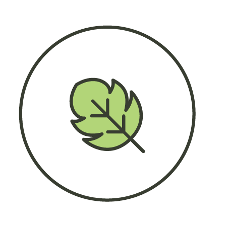 Biodiversity icon.