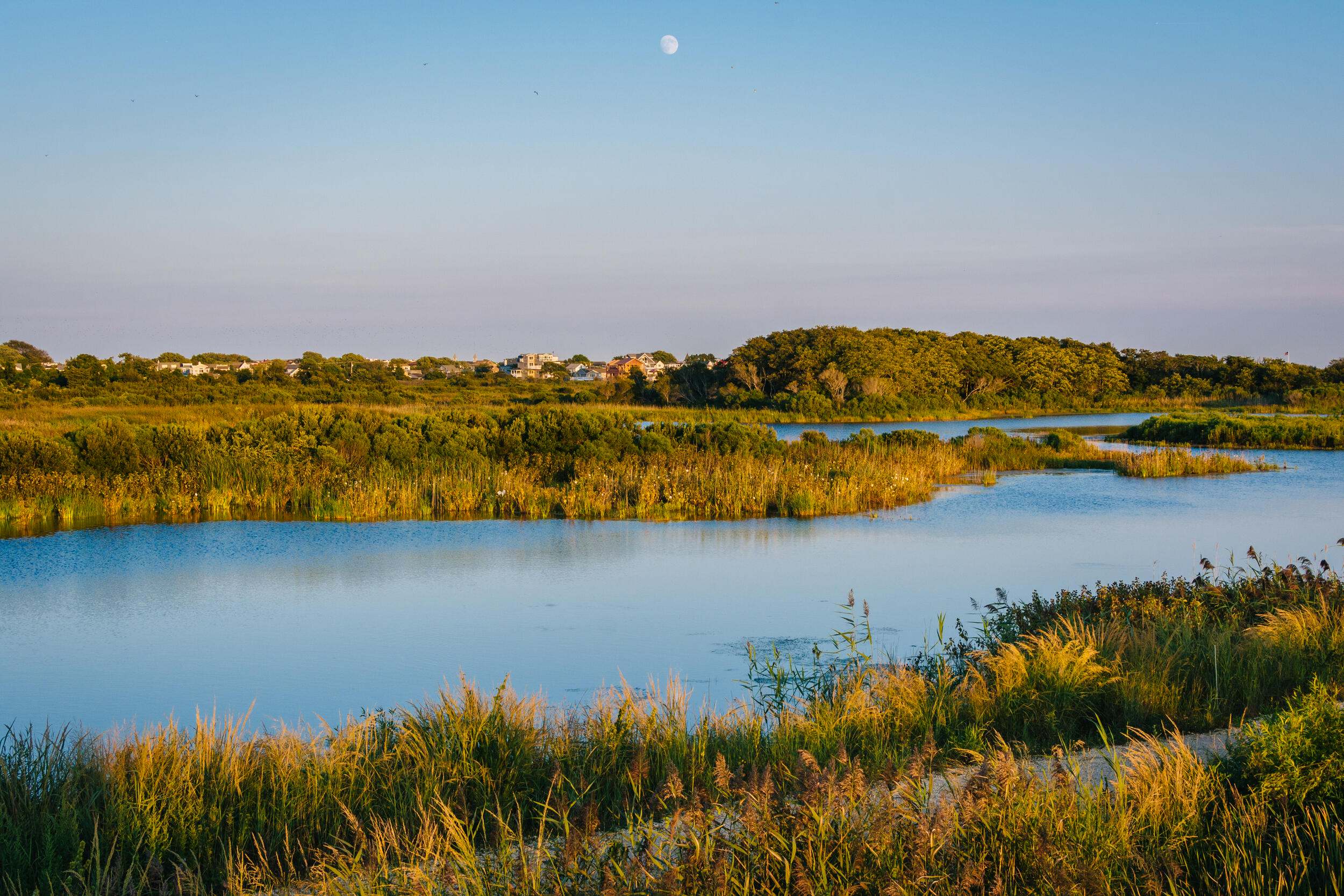 View of wetlands at South Cape May