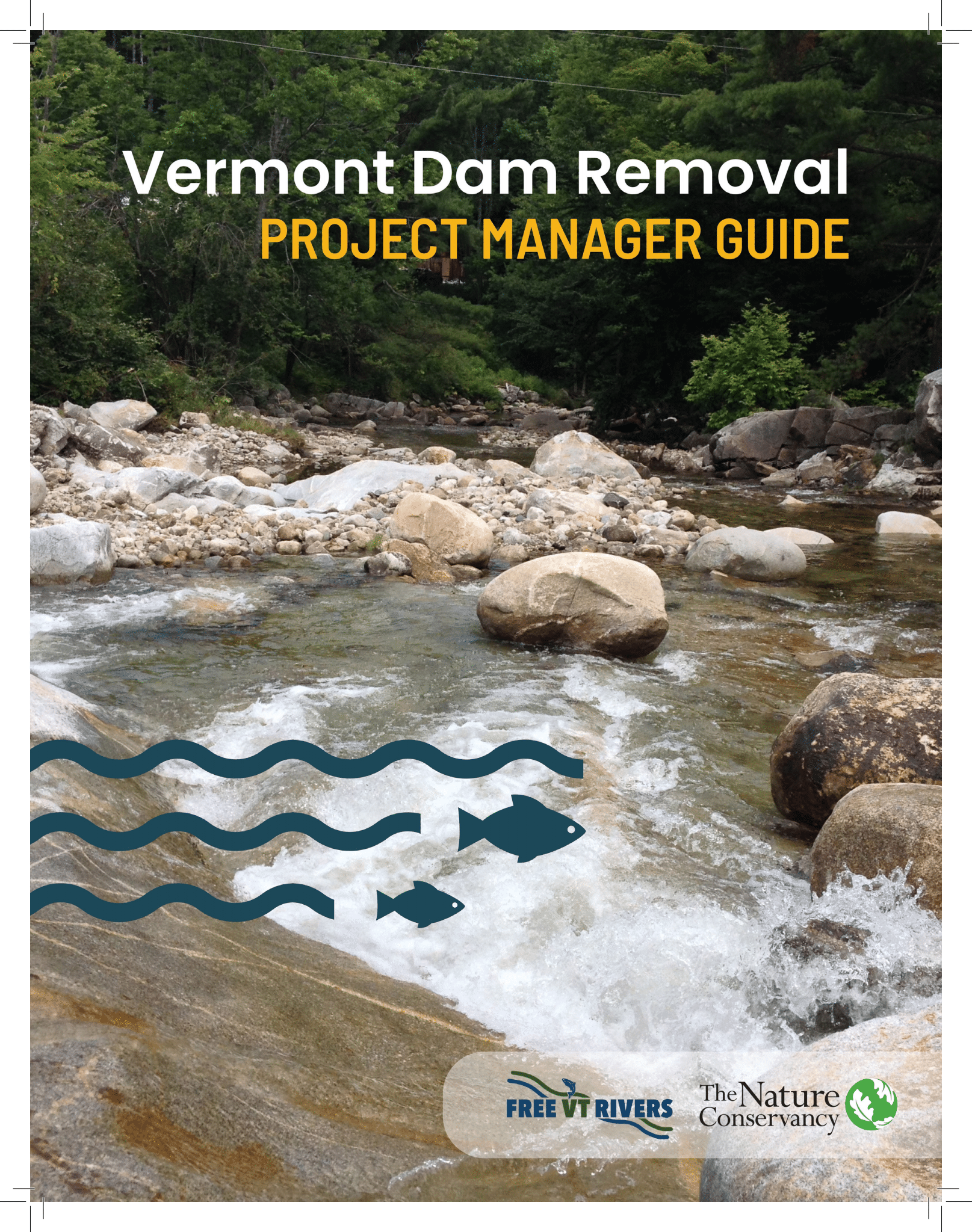  Front cover of the VT Dam Removal Guide.