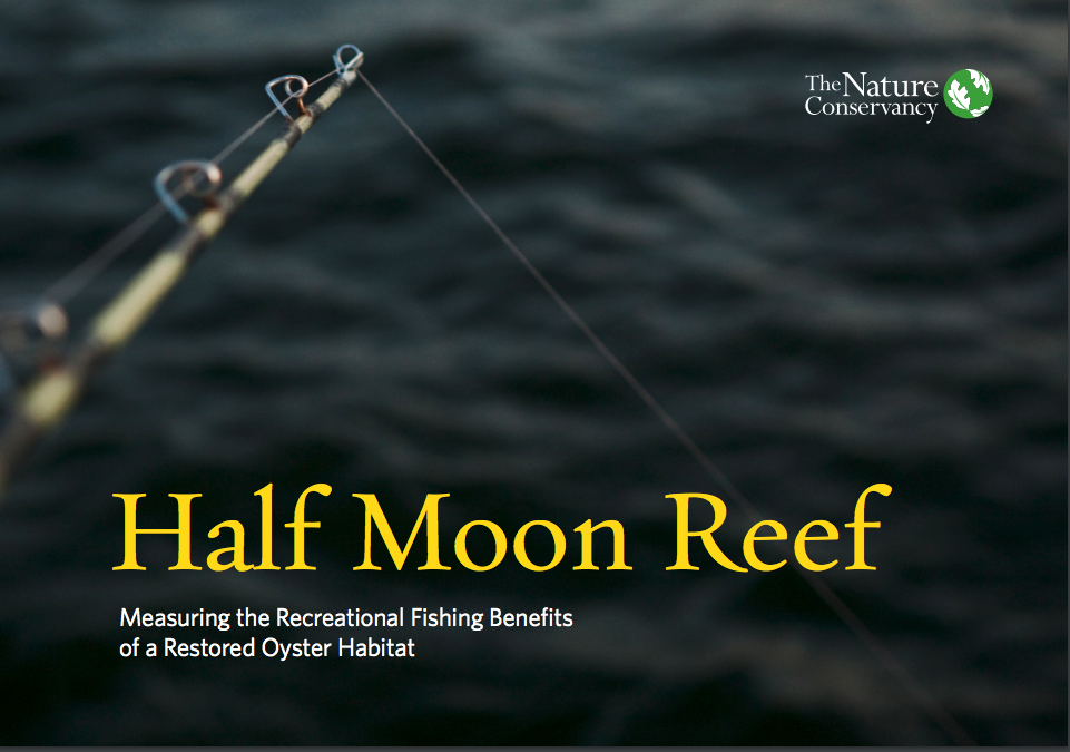 Cover of Half Moon Reef report