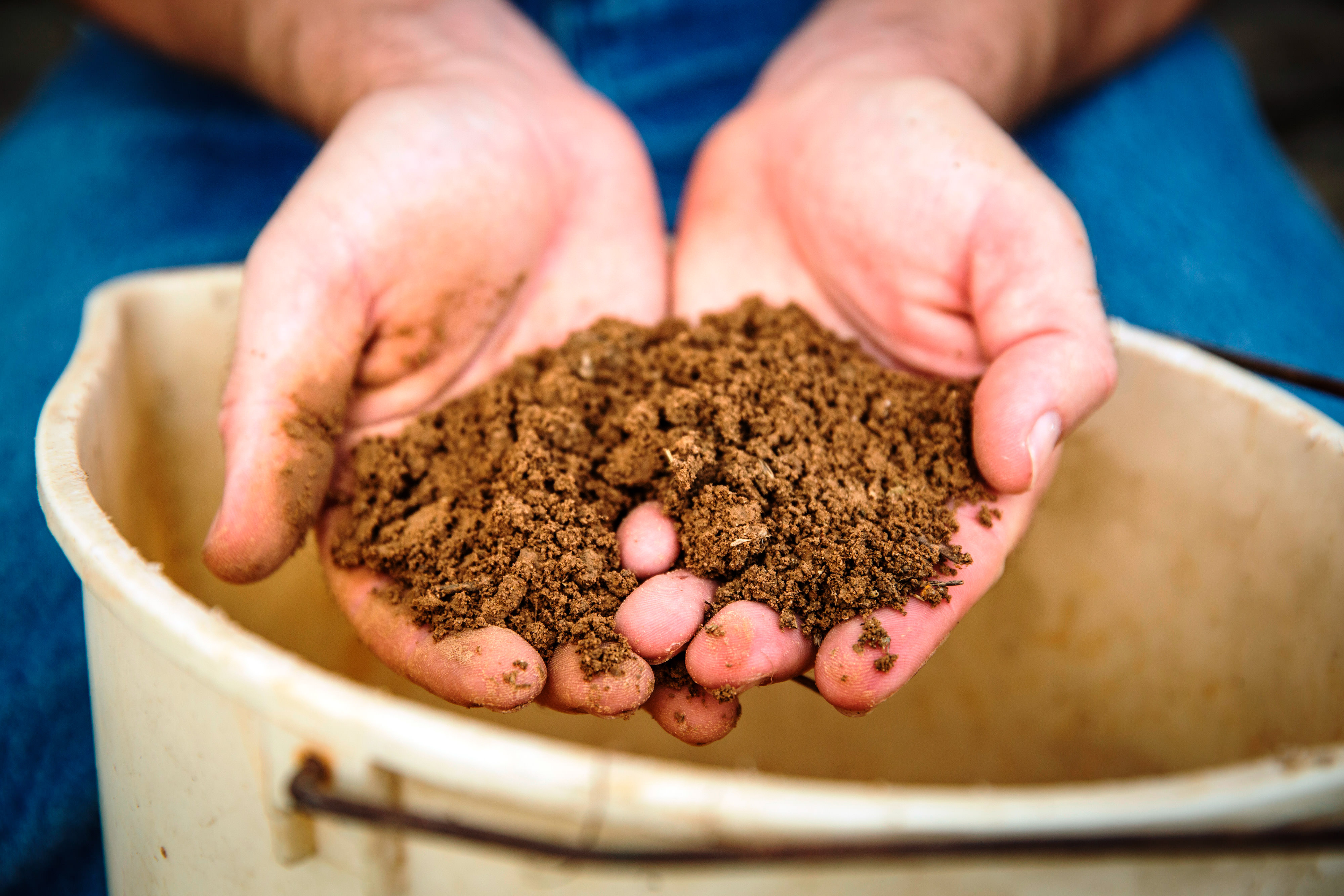 Close up of cupped hands full of soil over a bucket. 