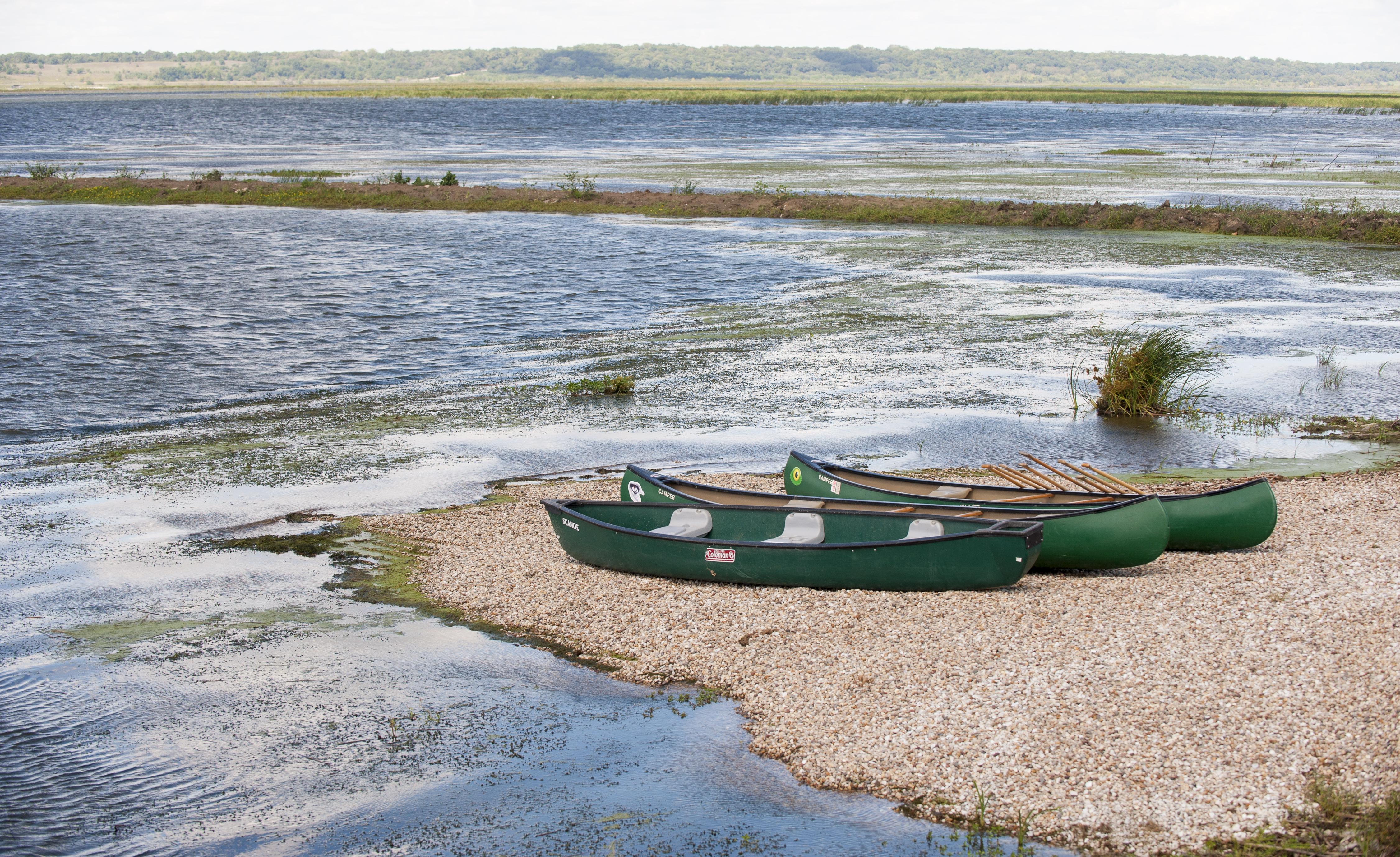 Canoes sitting on a shoreline at Emiquon preserve's wetlands.