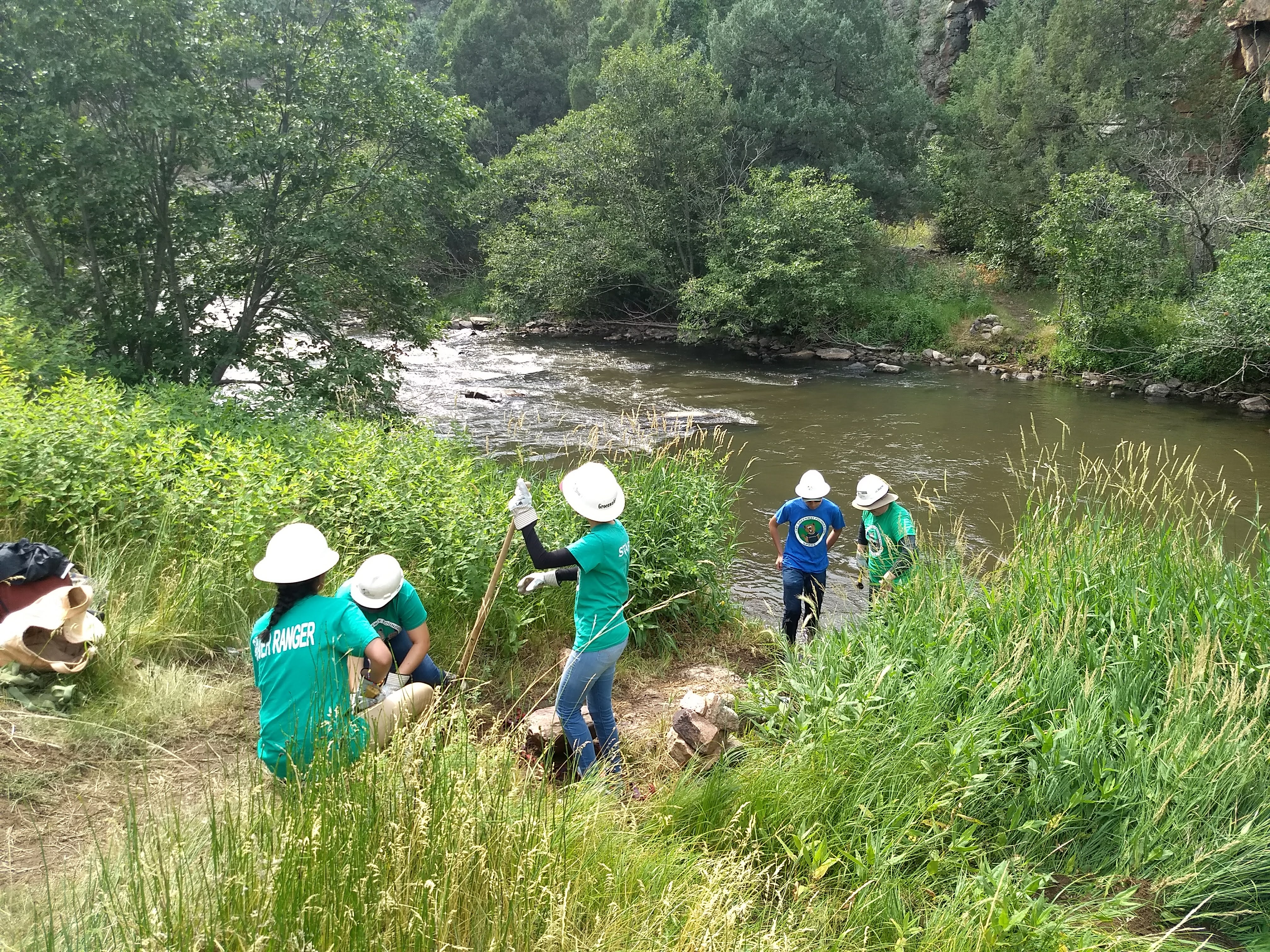 A group of people picking up trash by a river.